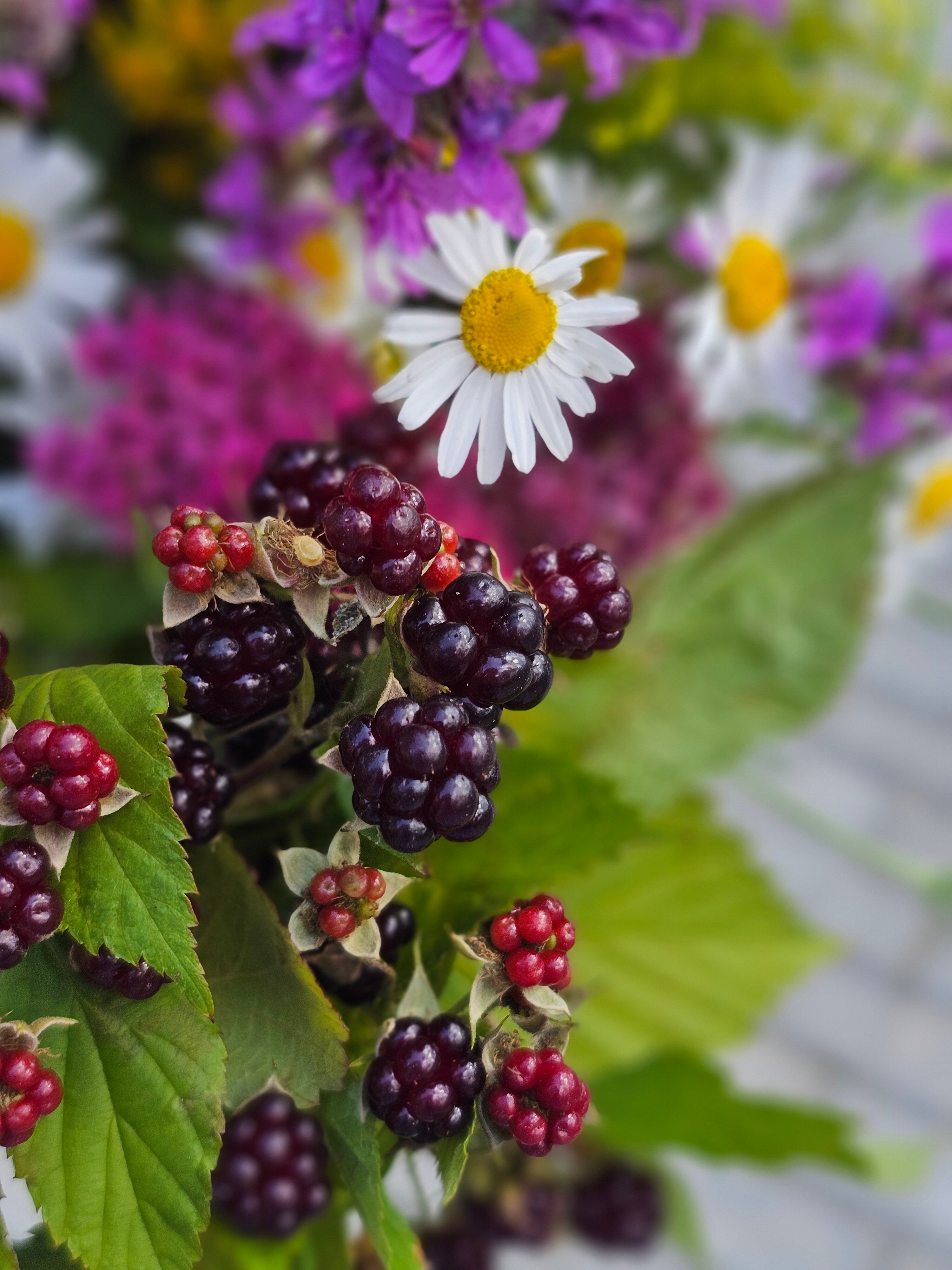 Фото Хуторок