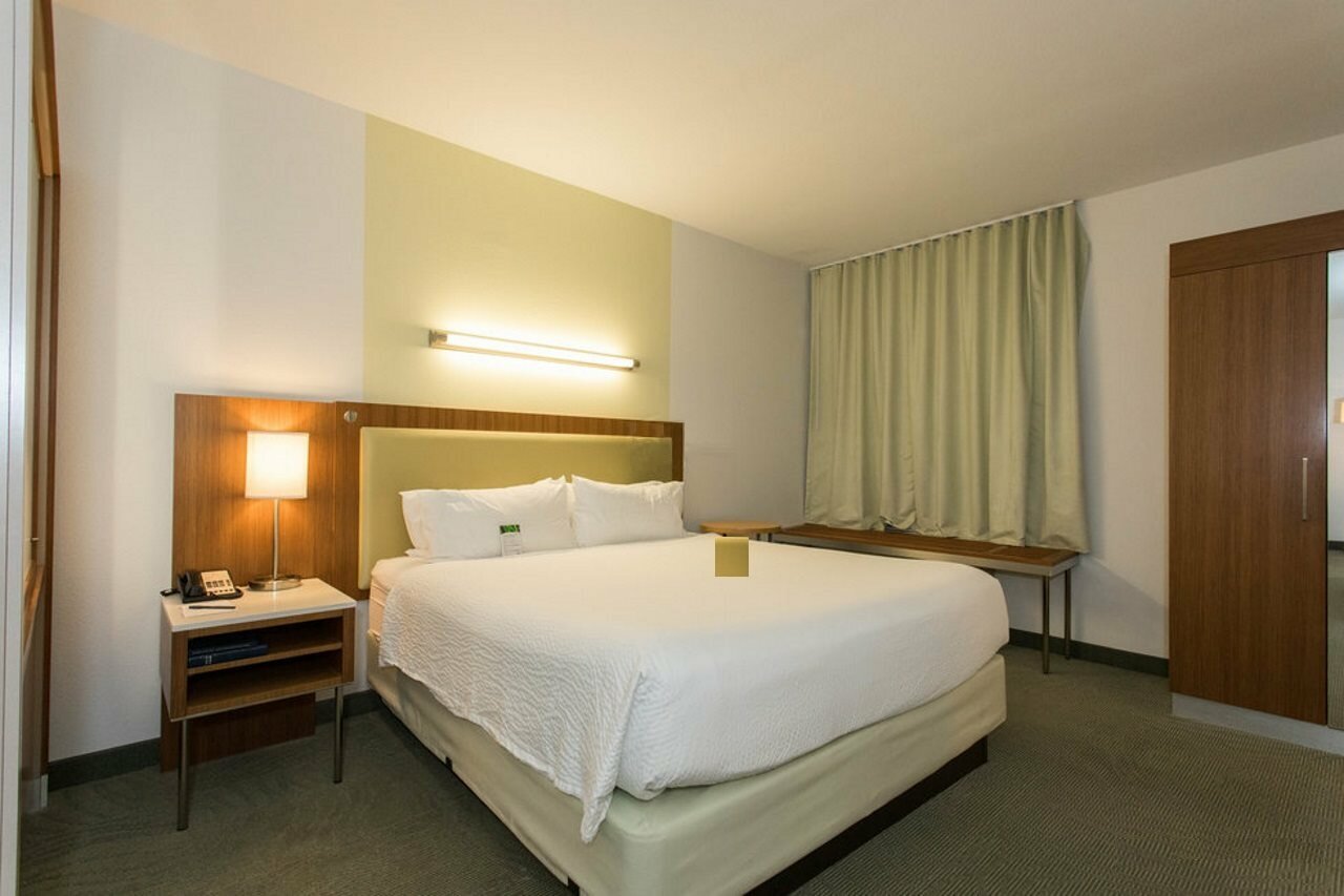 Фото SpringHill Suites by Marriott Orlando at SeaWorld