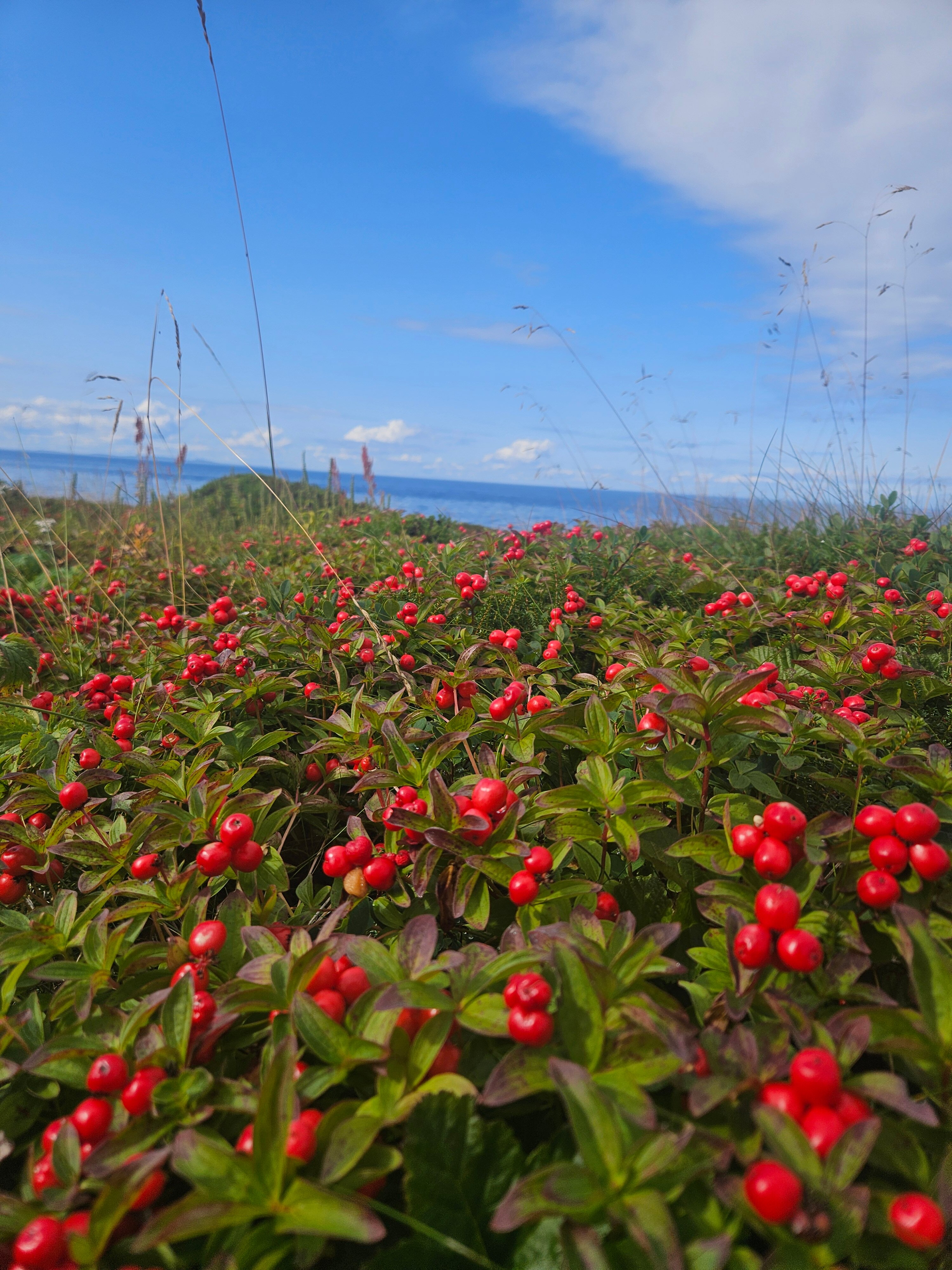 Фото Соловецкая слобода