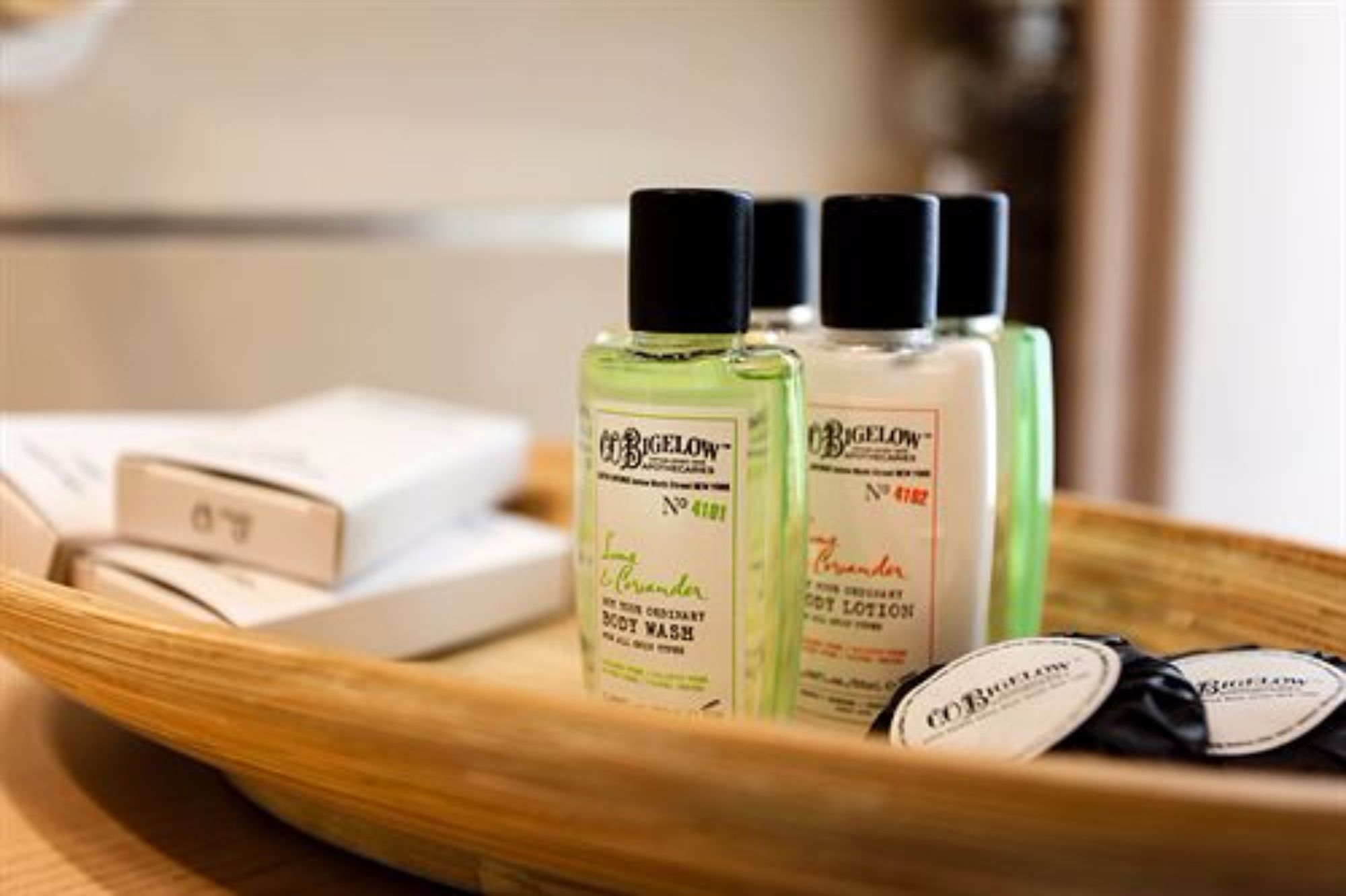 Фото Hotel Flaminia