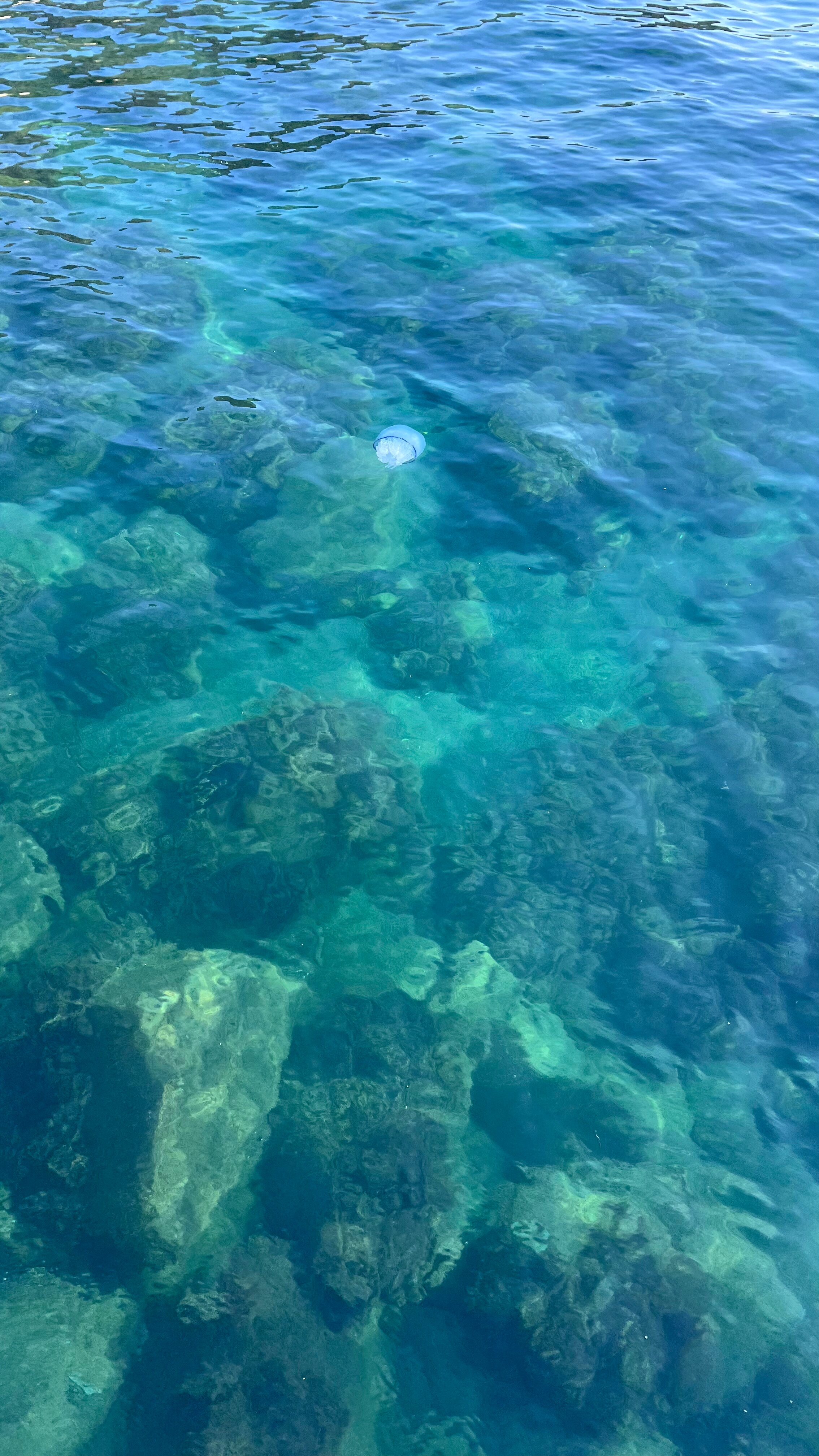 Фото Алушта