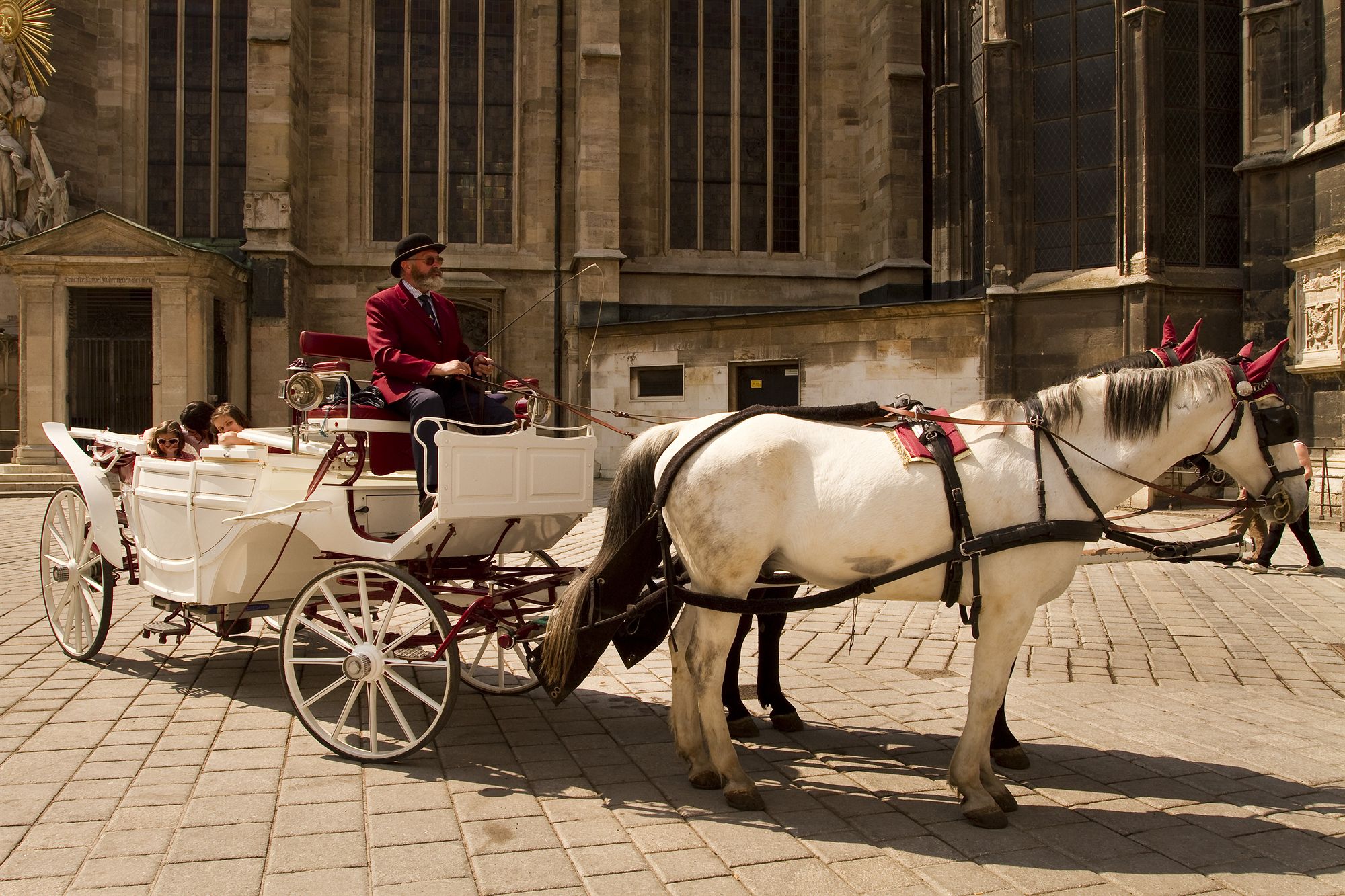 Фото Pension Neuer Markt