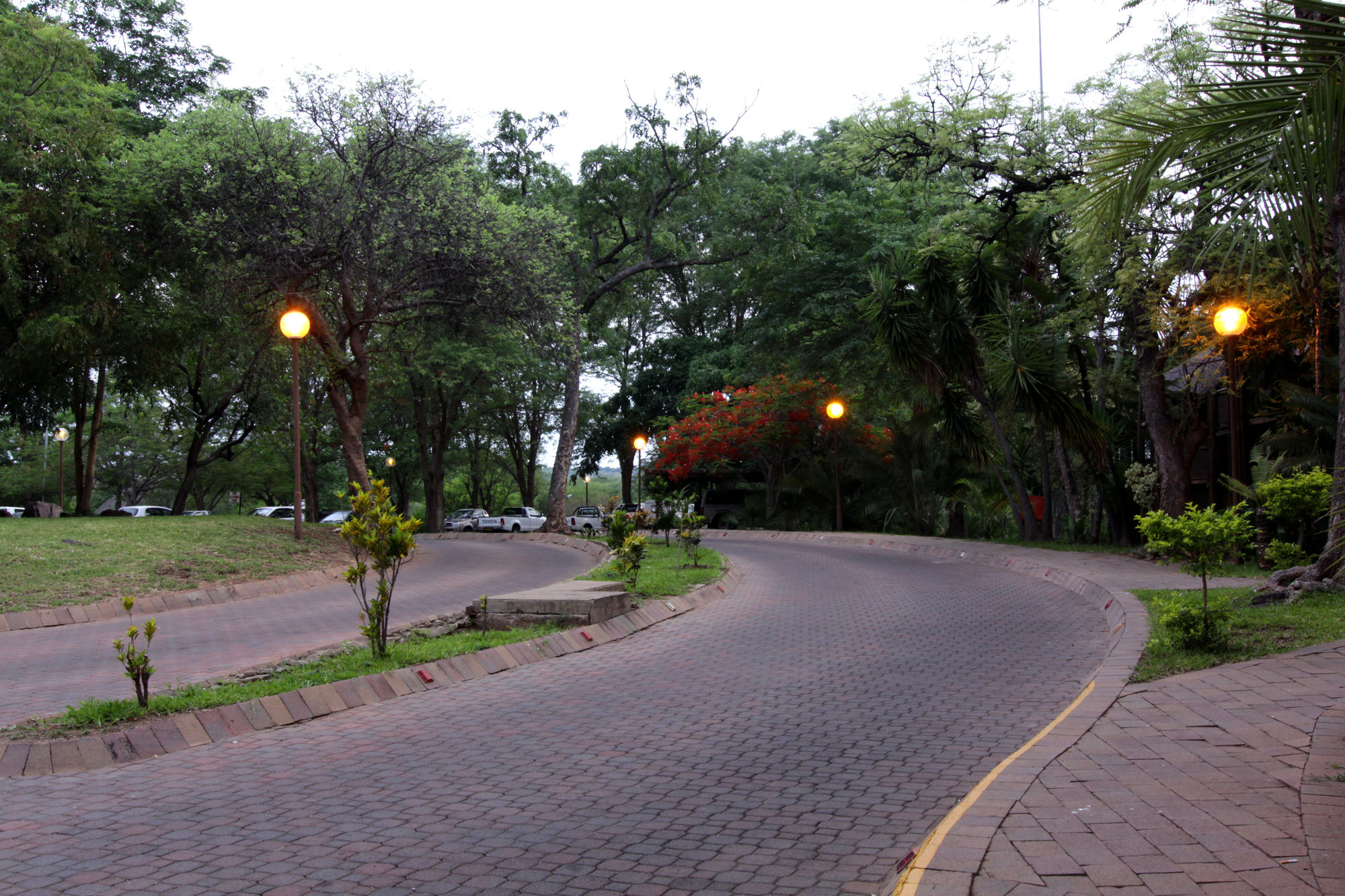 Фото Cresta Mowana Safari Resort & SPA