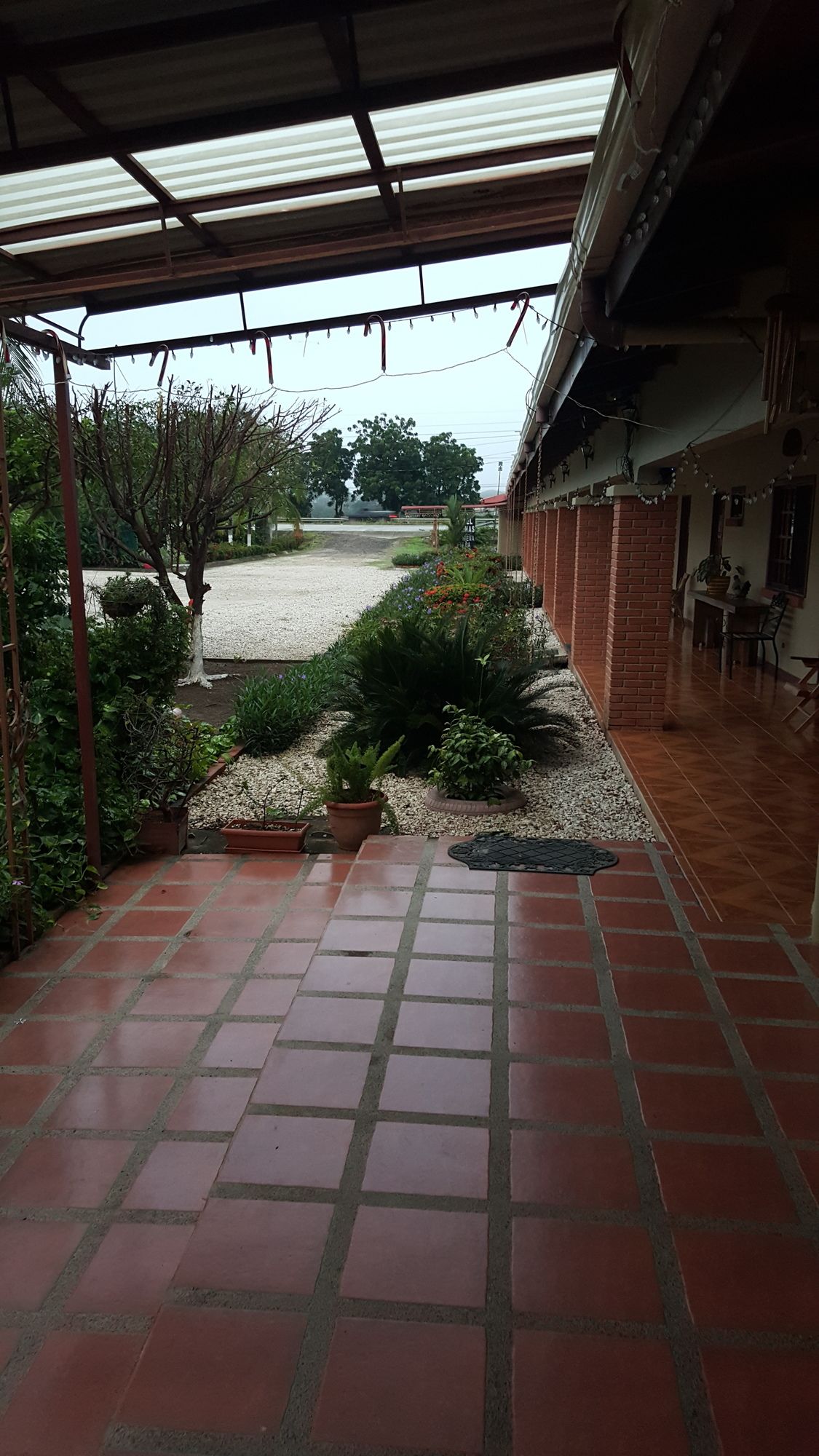 Фото Hotel La Arena