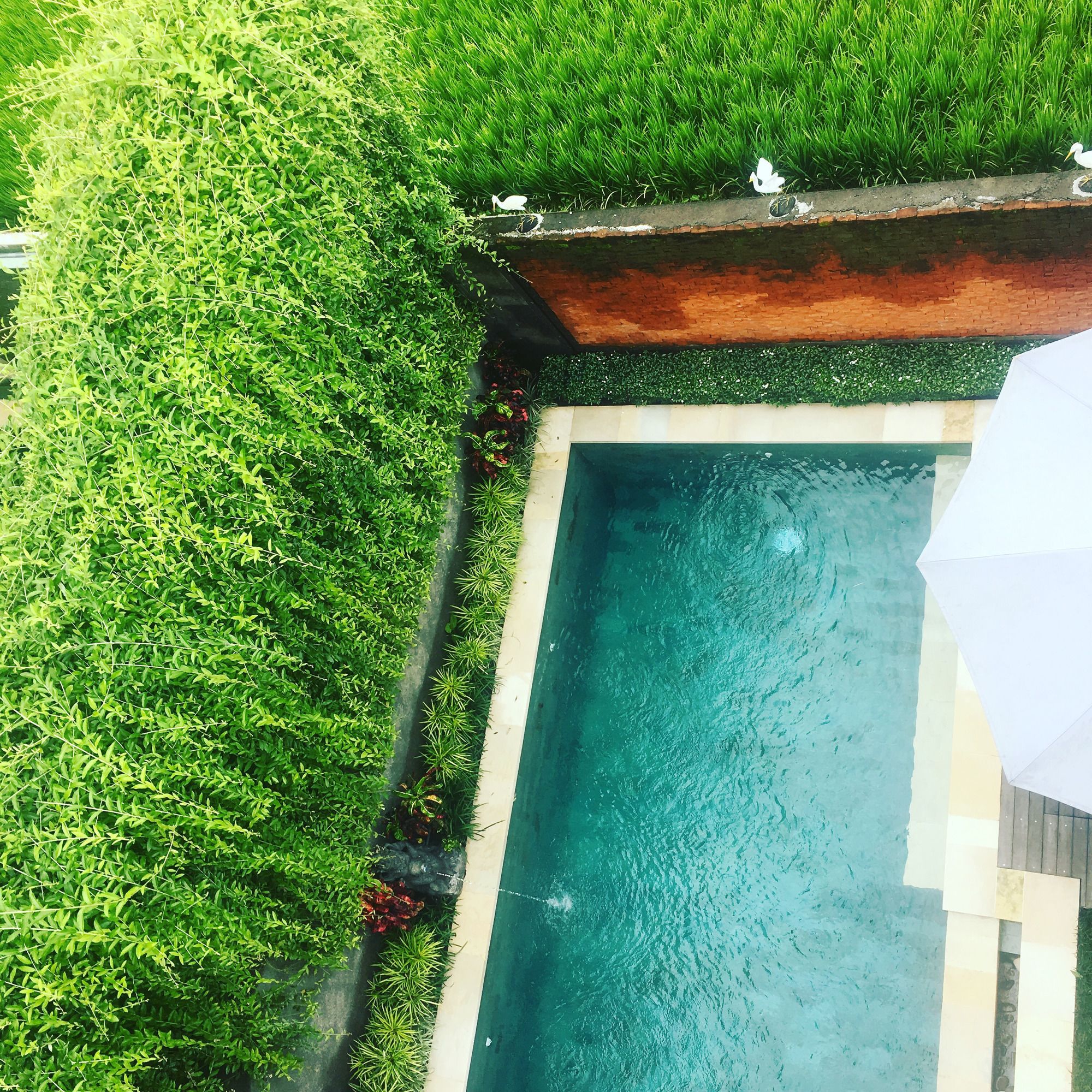 Фото Heaven Villa Ubud