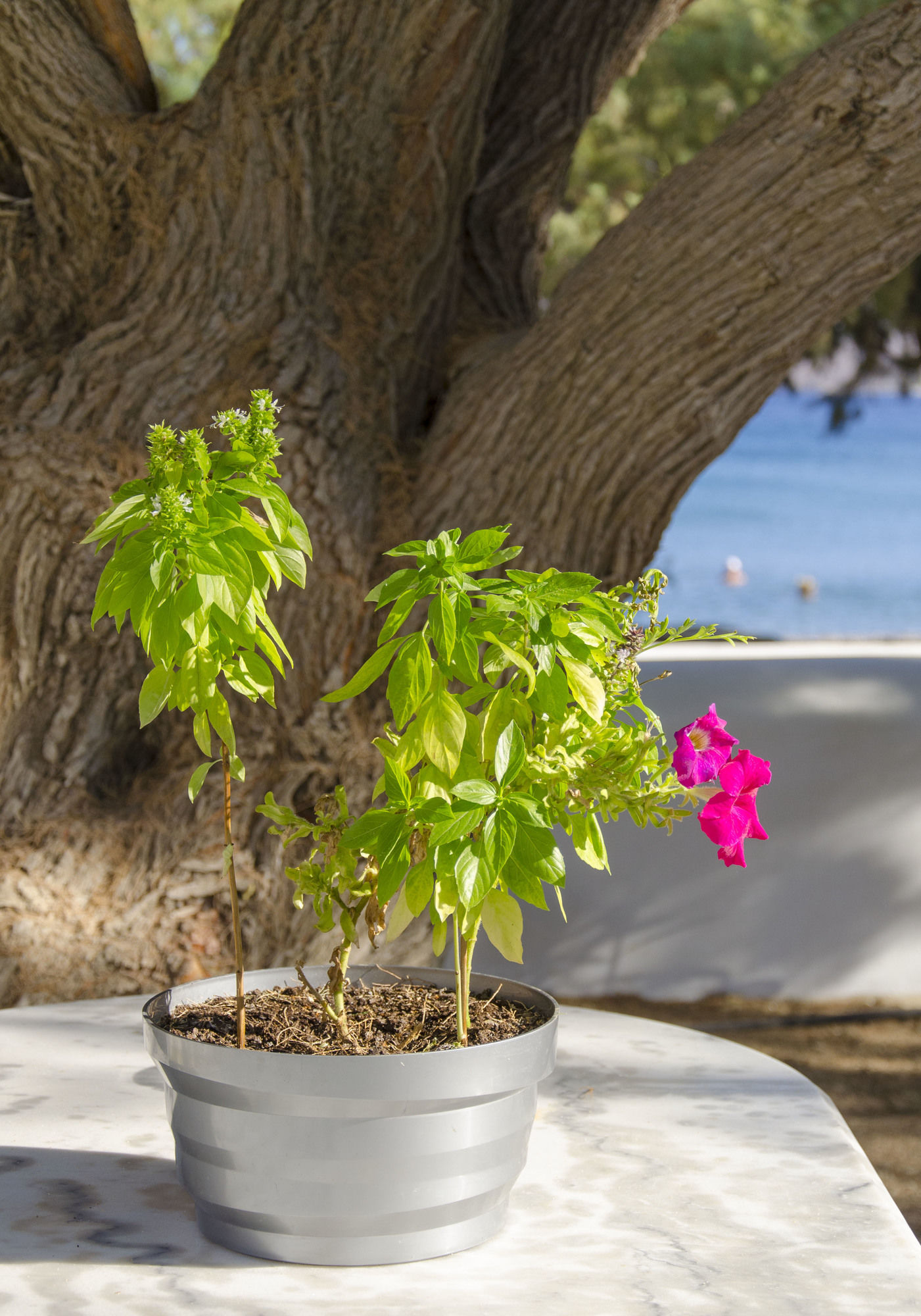 Фото Mouras Studios