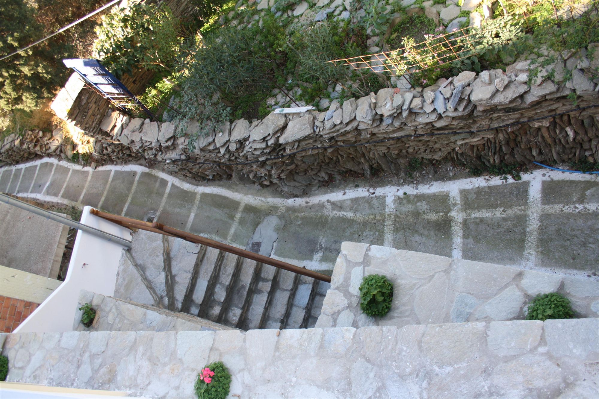 Фото 167746402564