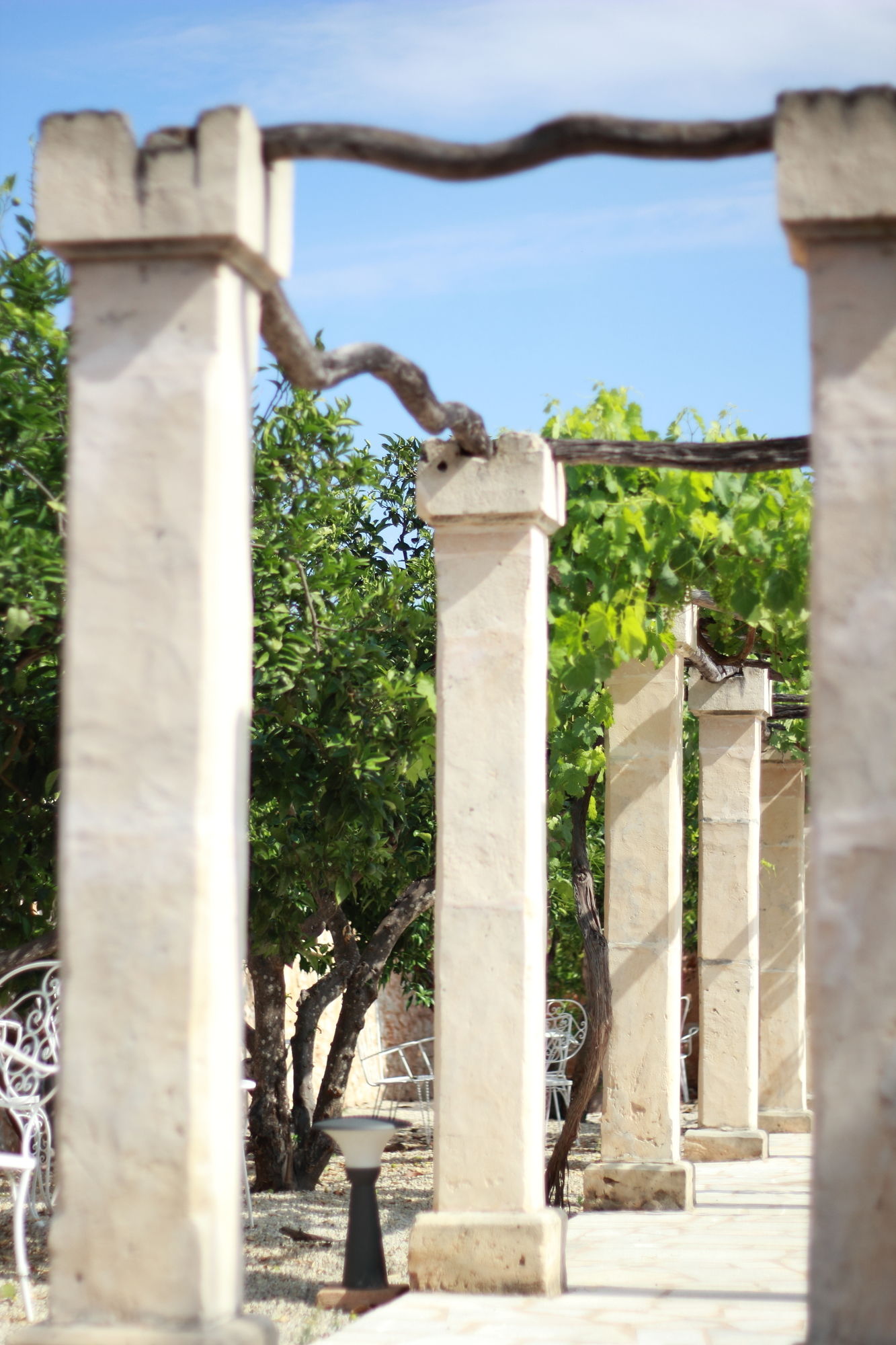 Фото Petit Hotel Algaida