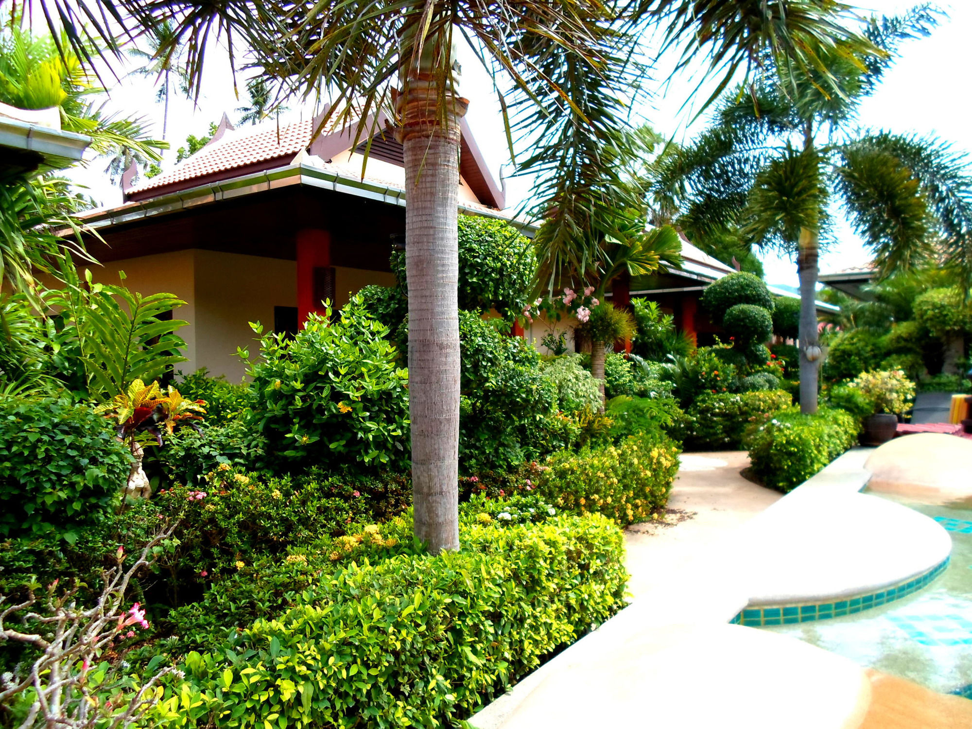 Фото Baan Tropicana