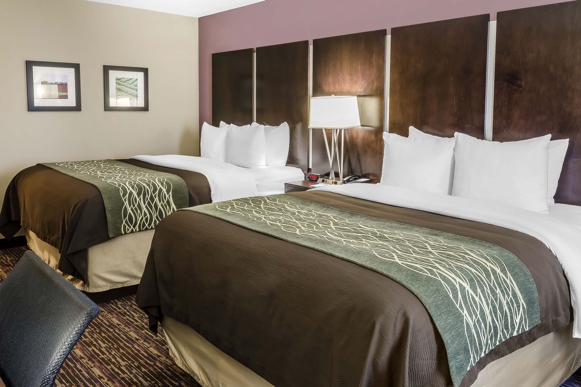 Фото Comfort Inn & Suites Dothan East