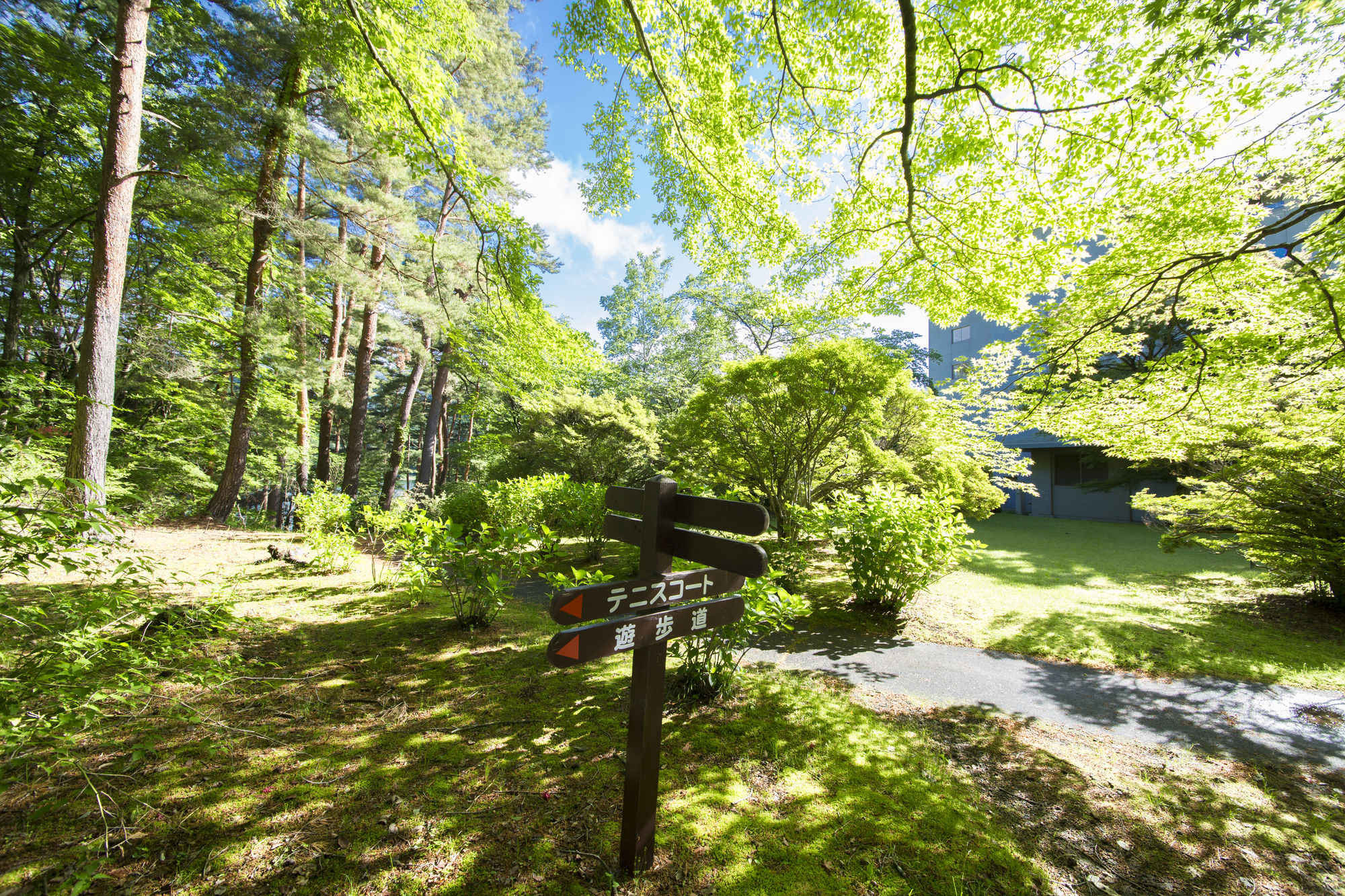 Фото Fuji View Hotel