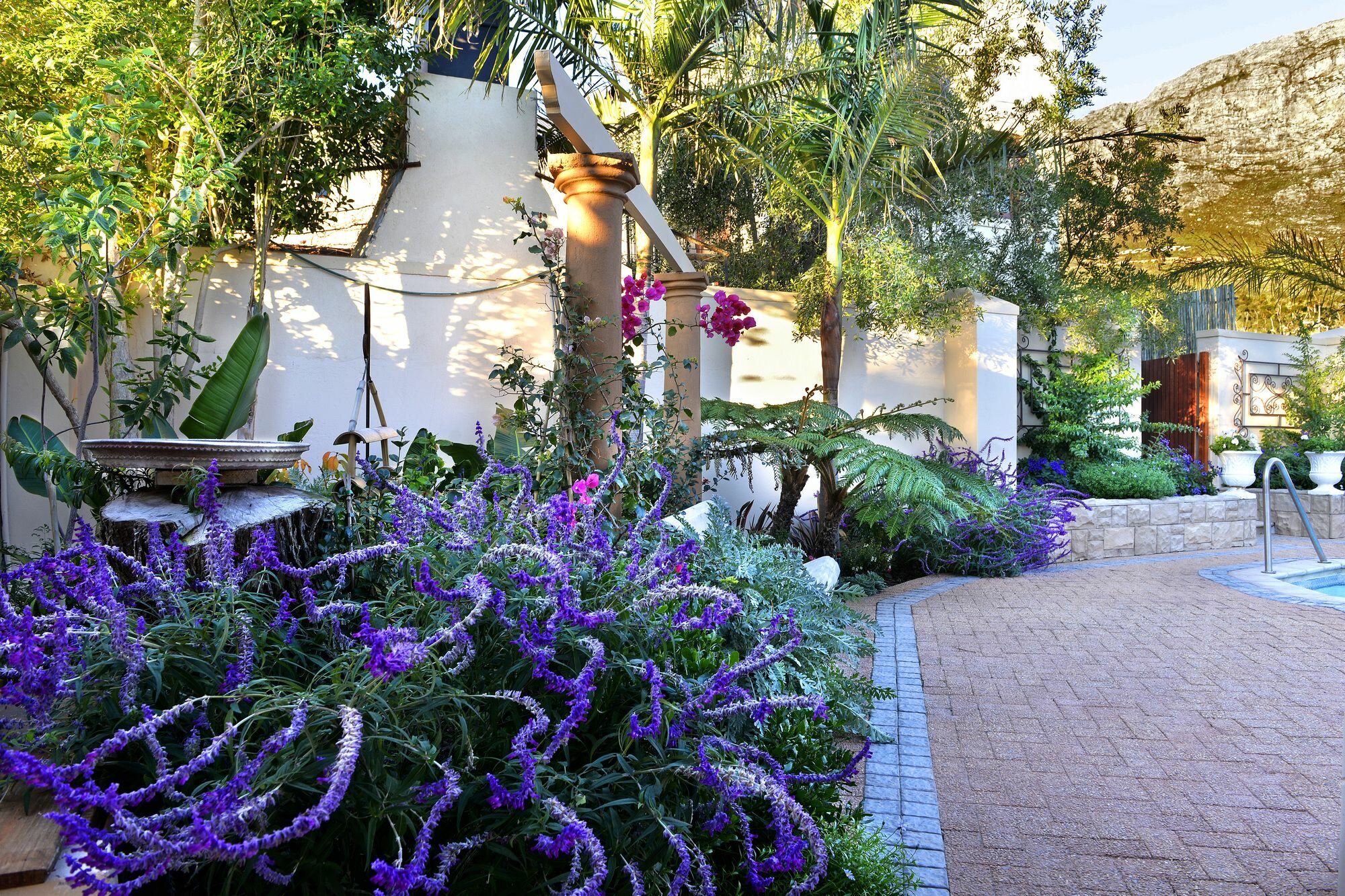 Фото Petit & Grande Plaisir