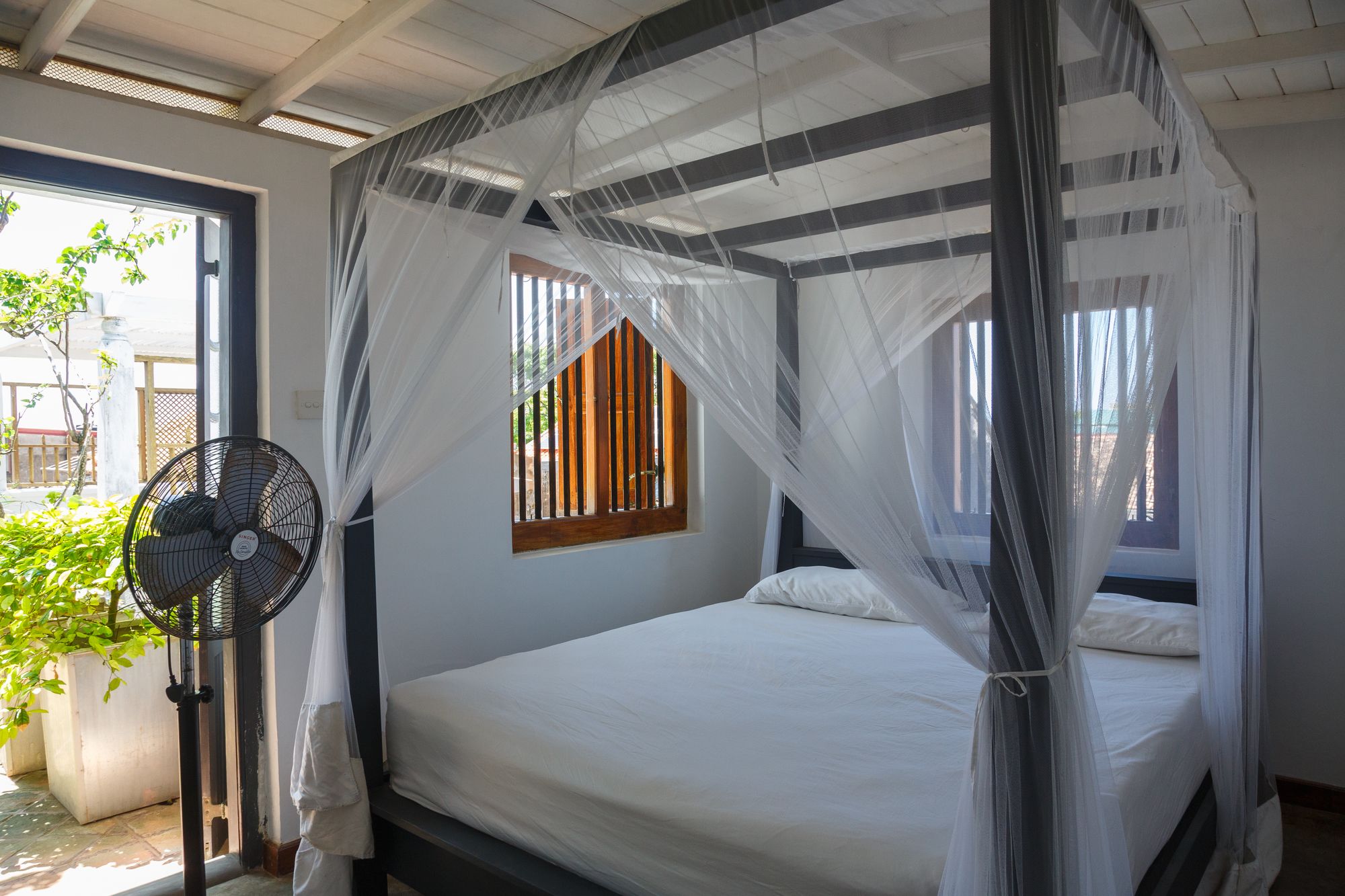 Фото Villa Aurora, Galle Fort