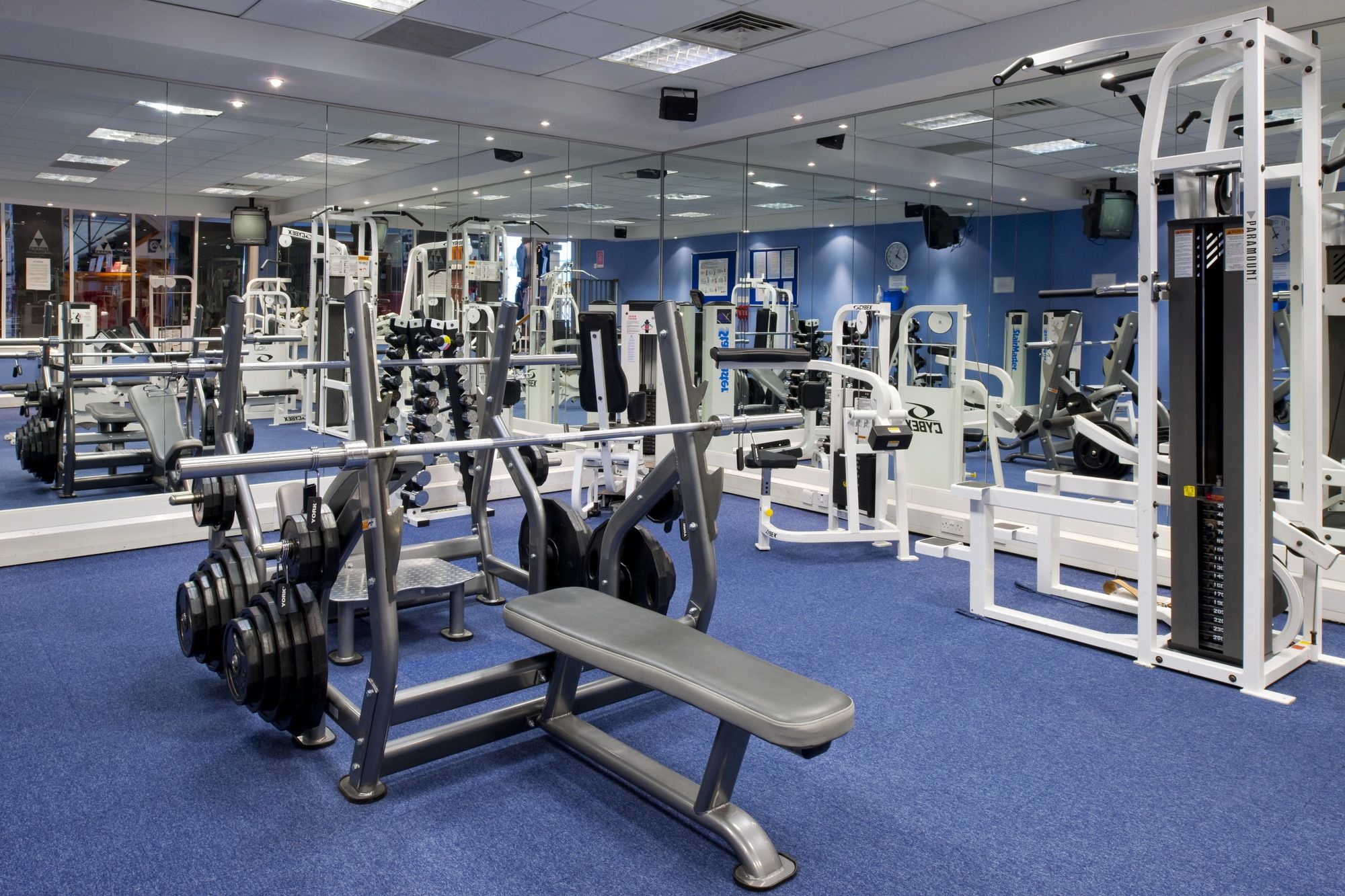 Фото 203984087011