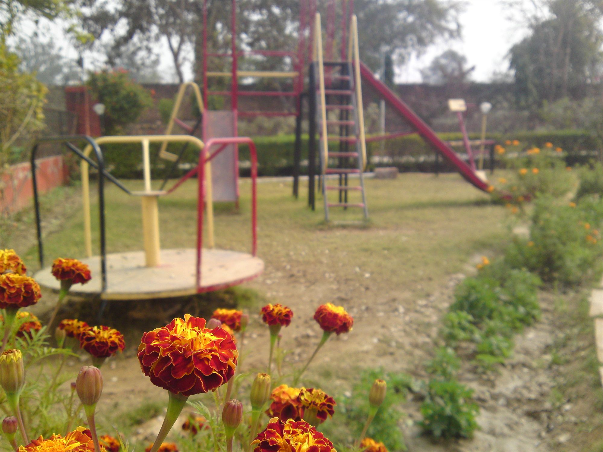 Фото The New Swaraj Resort