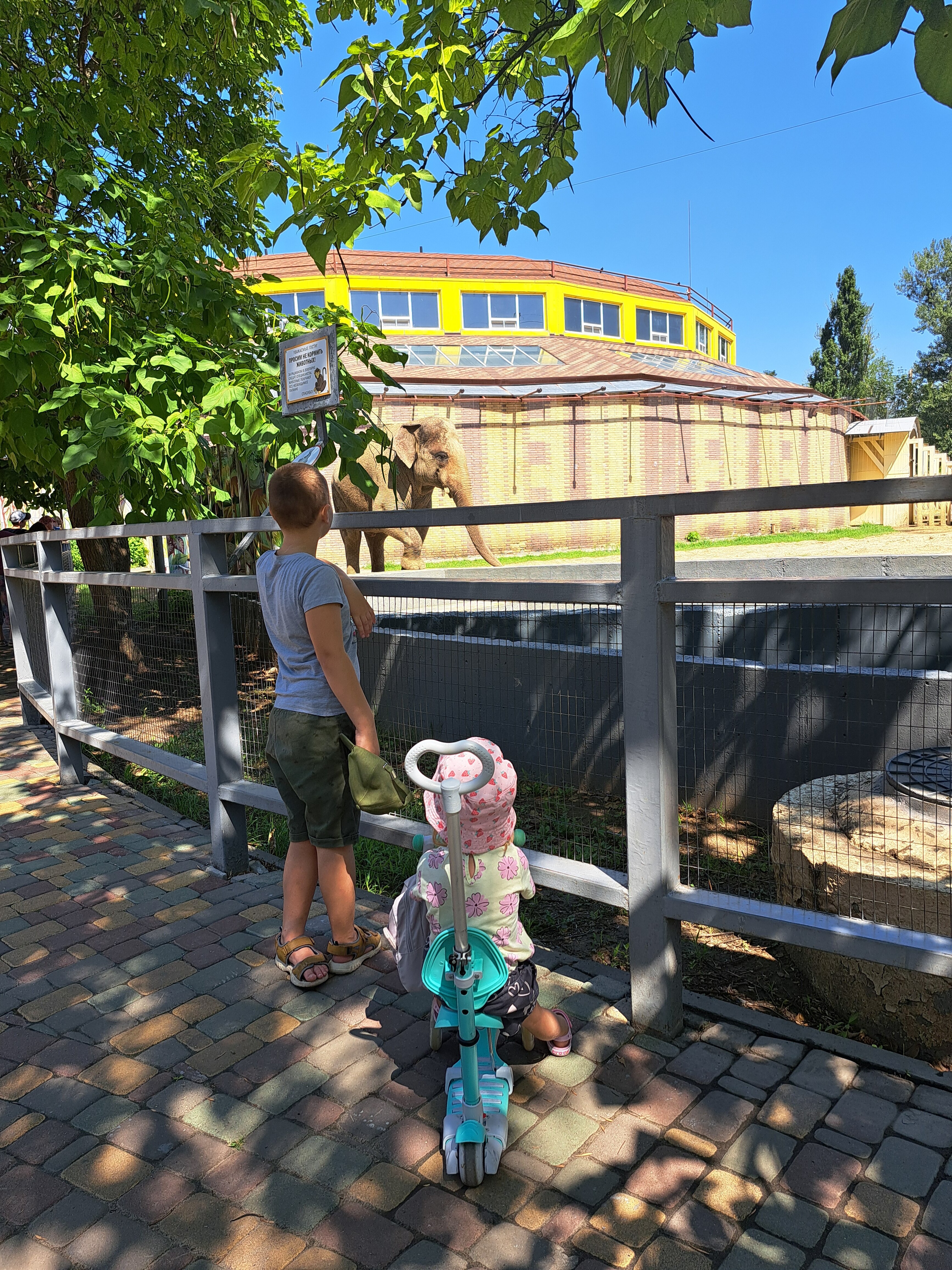 Фото Золотой Восход