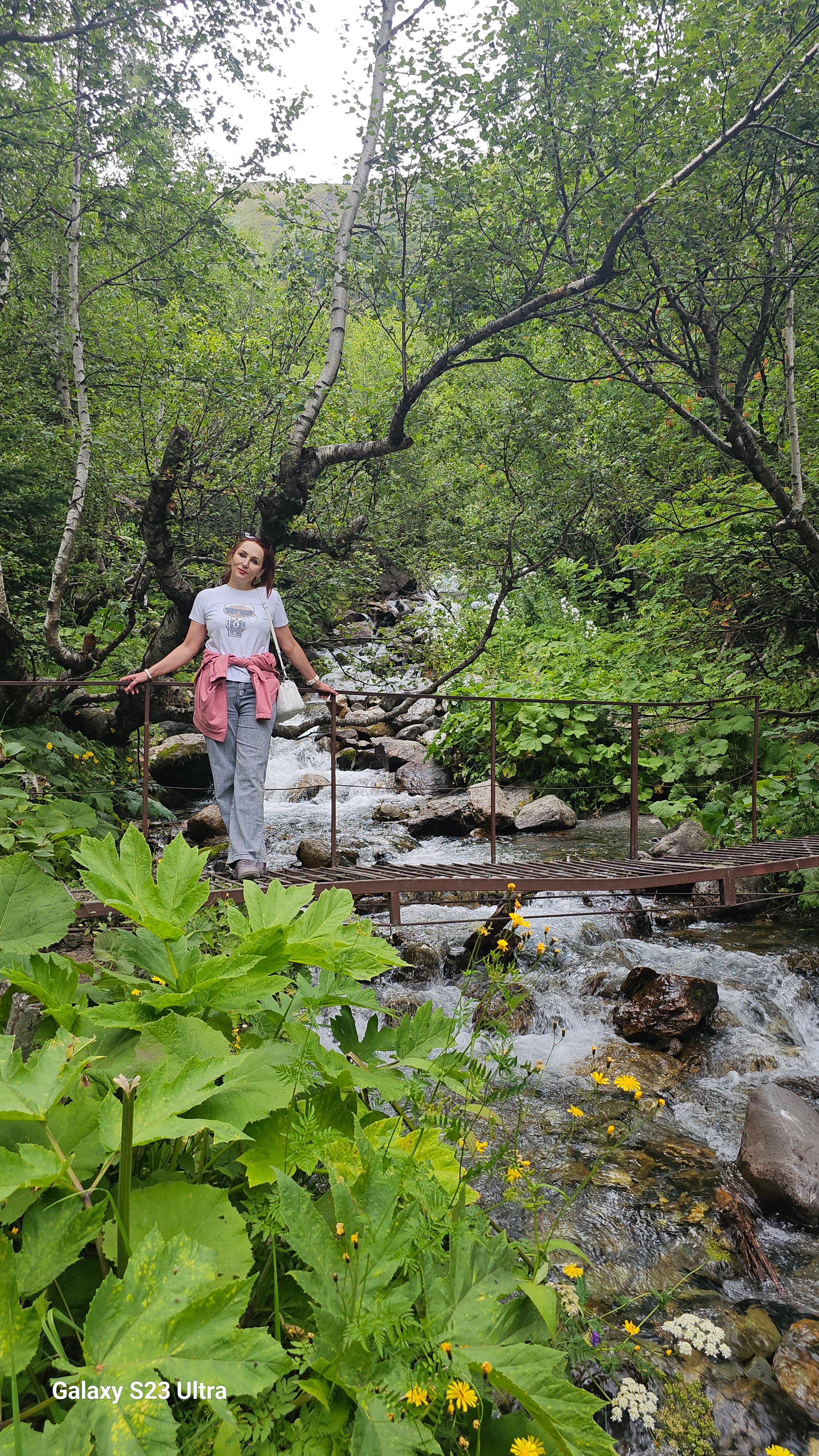 Фото Альпийский