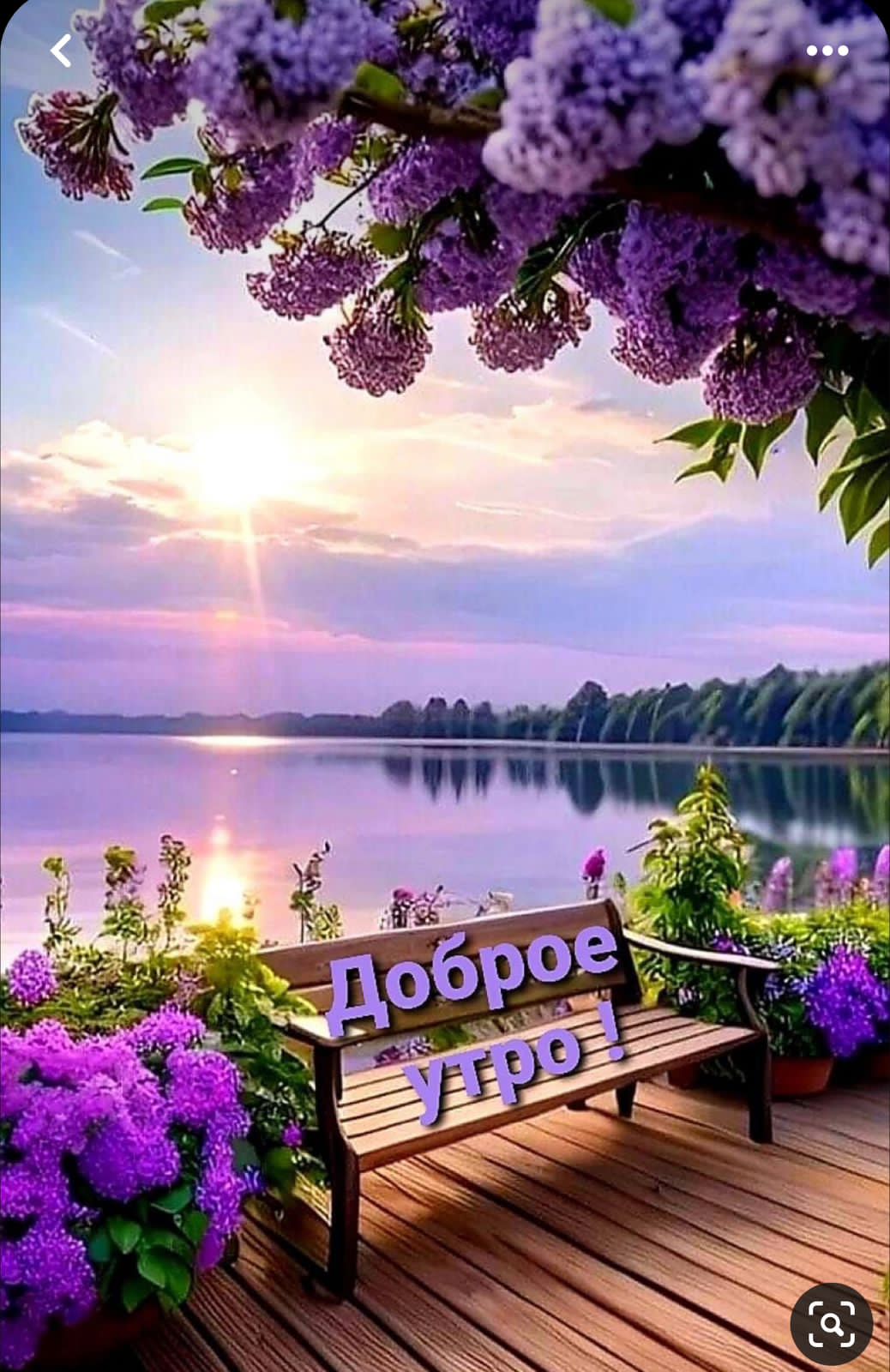 Фото Баунти