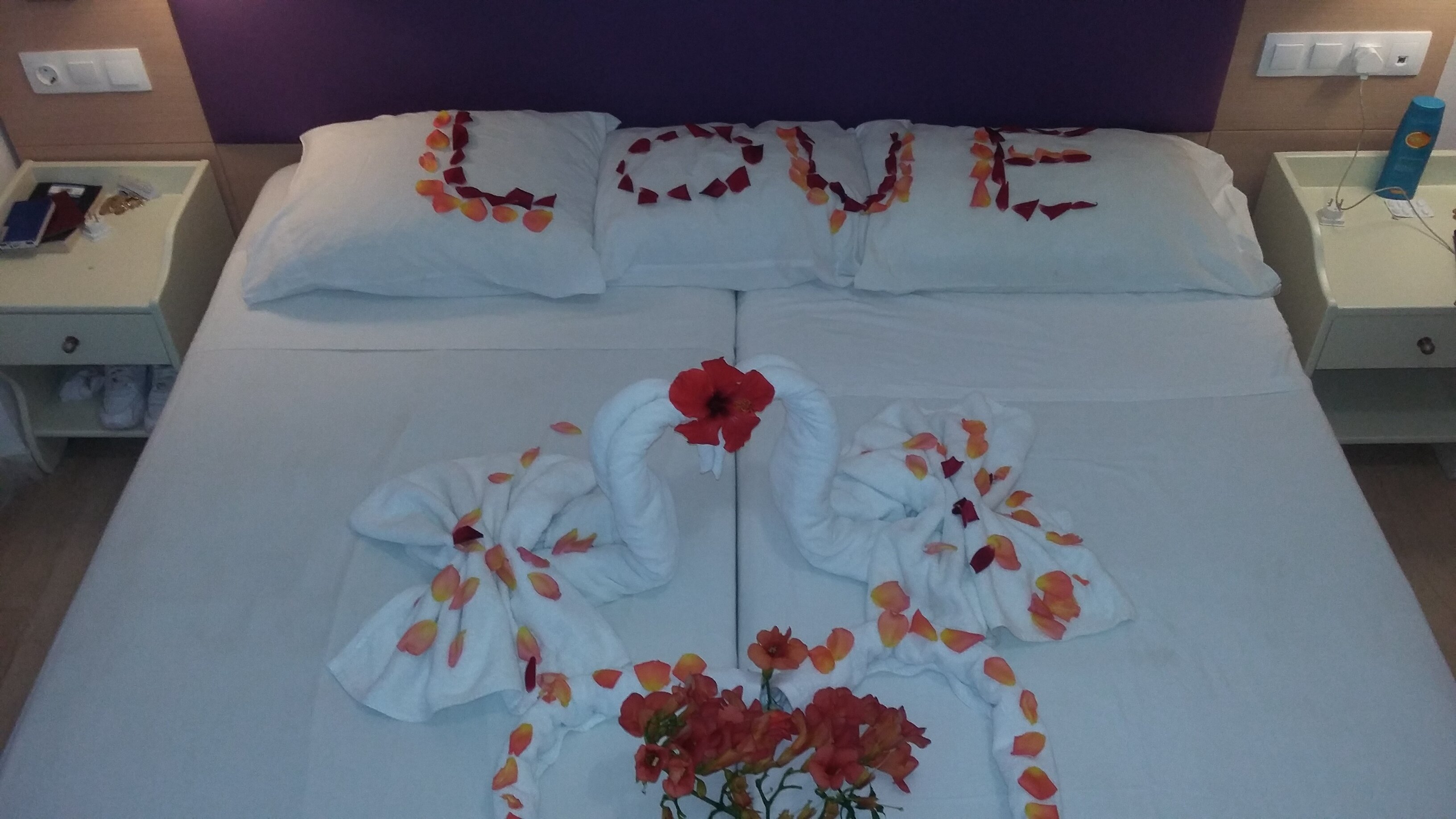 Фото Origin Hotel & Apartments