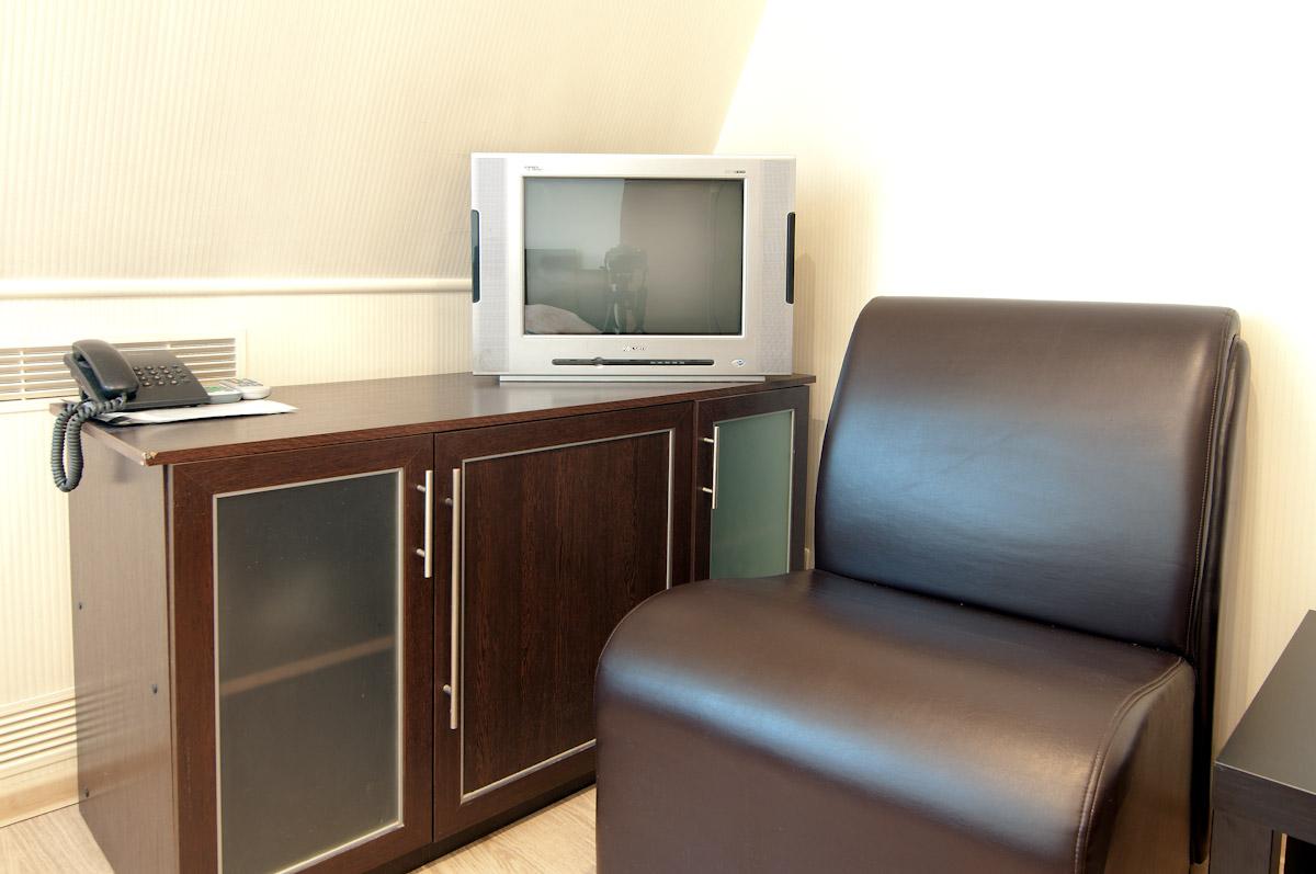 Фото Калина красная