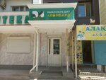 DM (Abay Avenue, 39) ، مؤسسات التمويل الصغرى