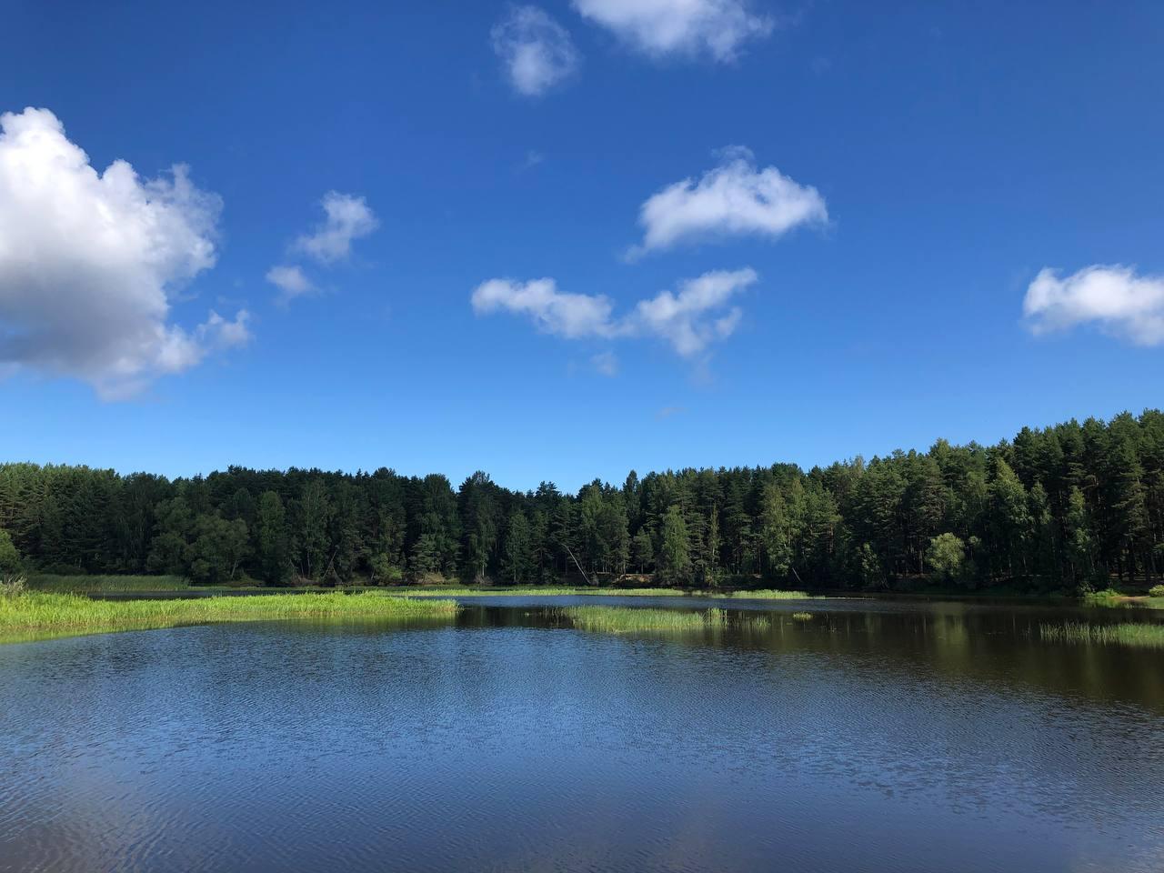 Фото На Чеснаве