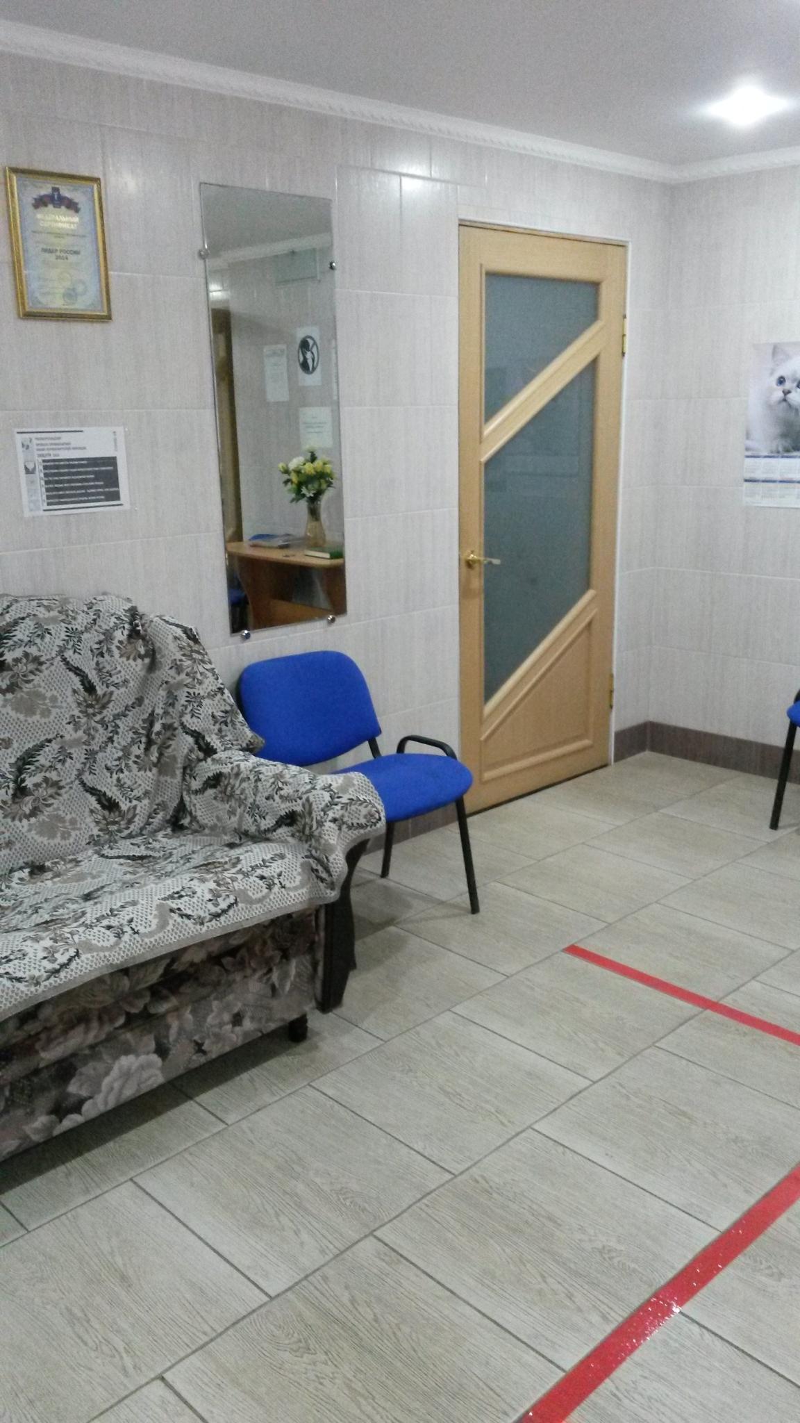 Фото Берёзка