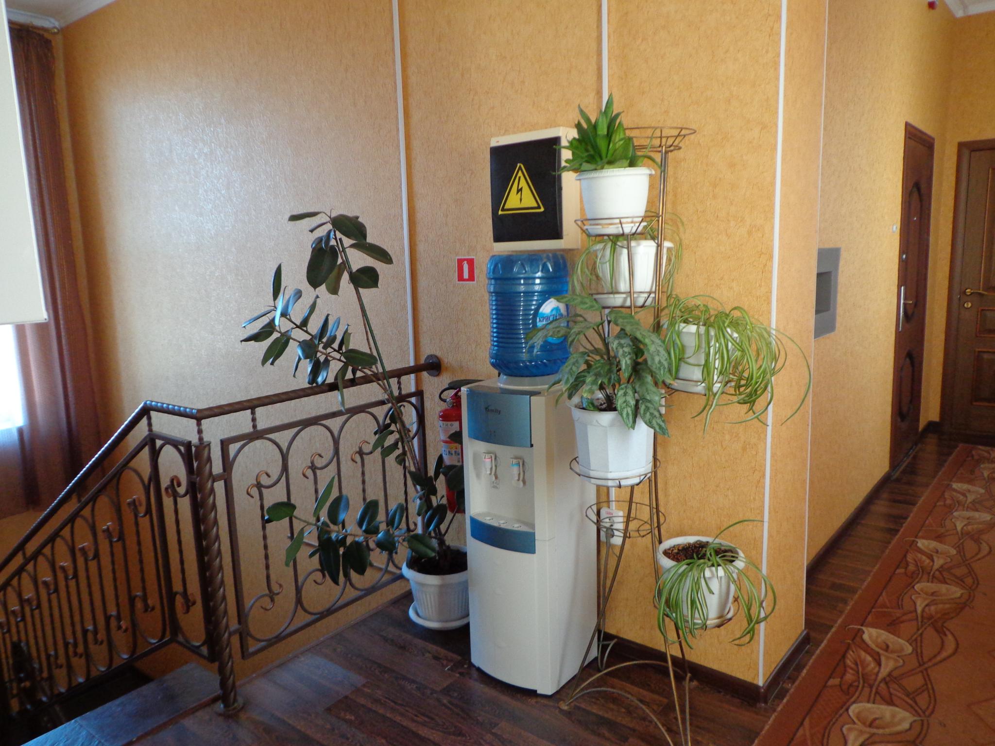 Фото Олимпия