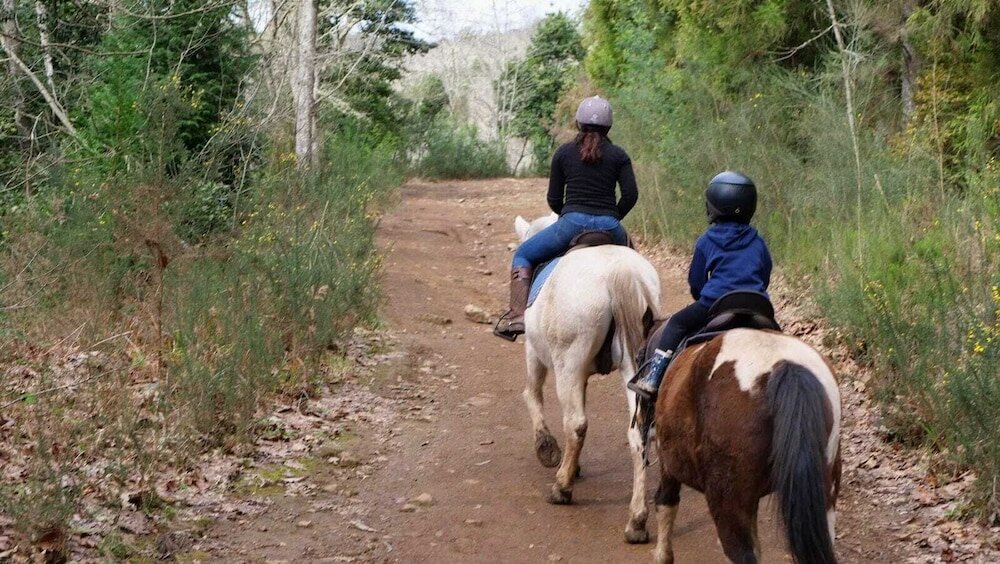 Фото 102185288666