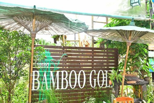 Bamboo Gold