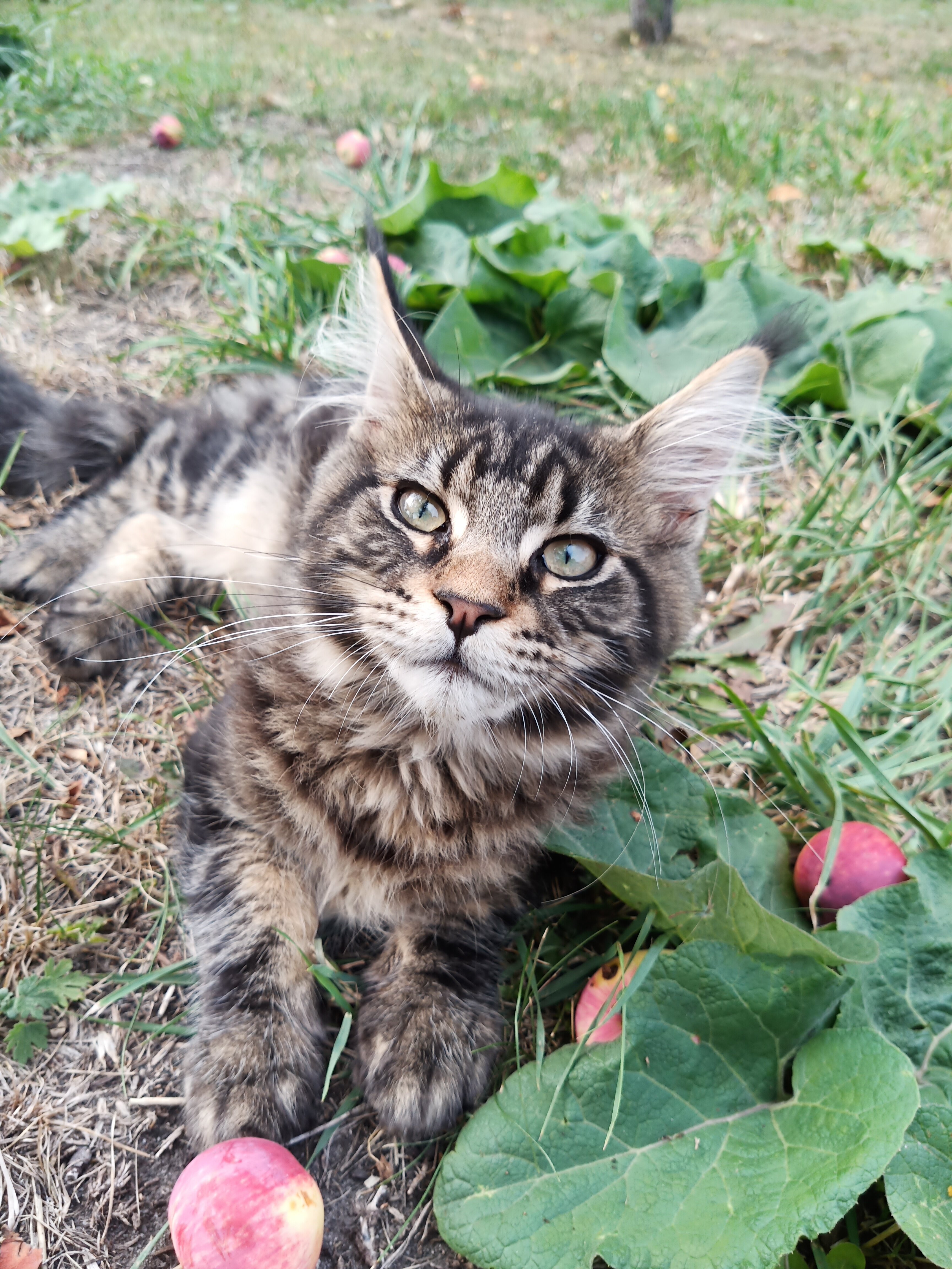 Фото Медвежье