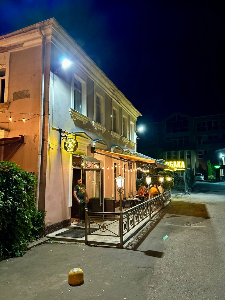 Bar, pub Sobaka, Kostroma, photo