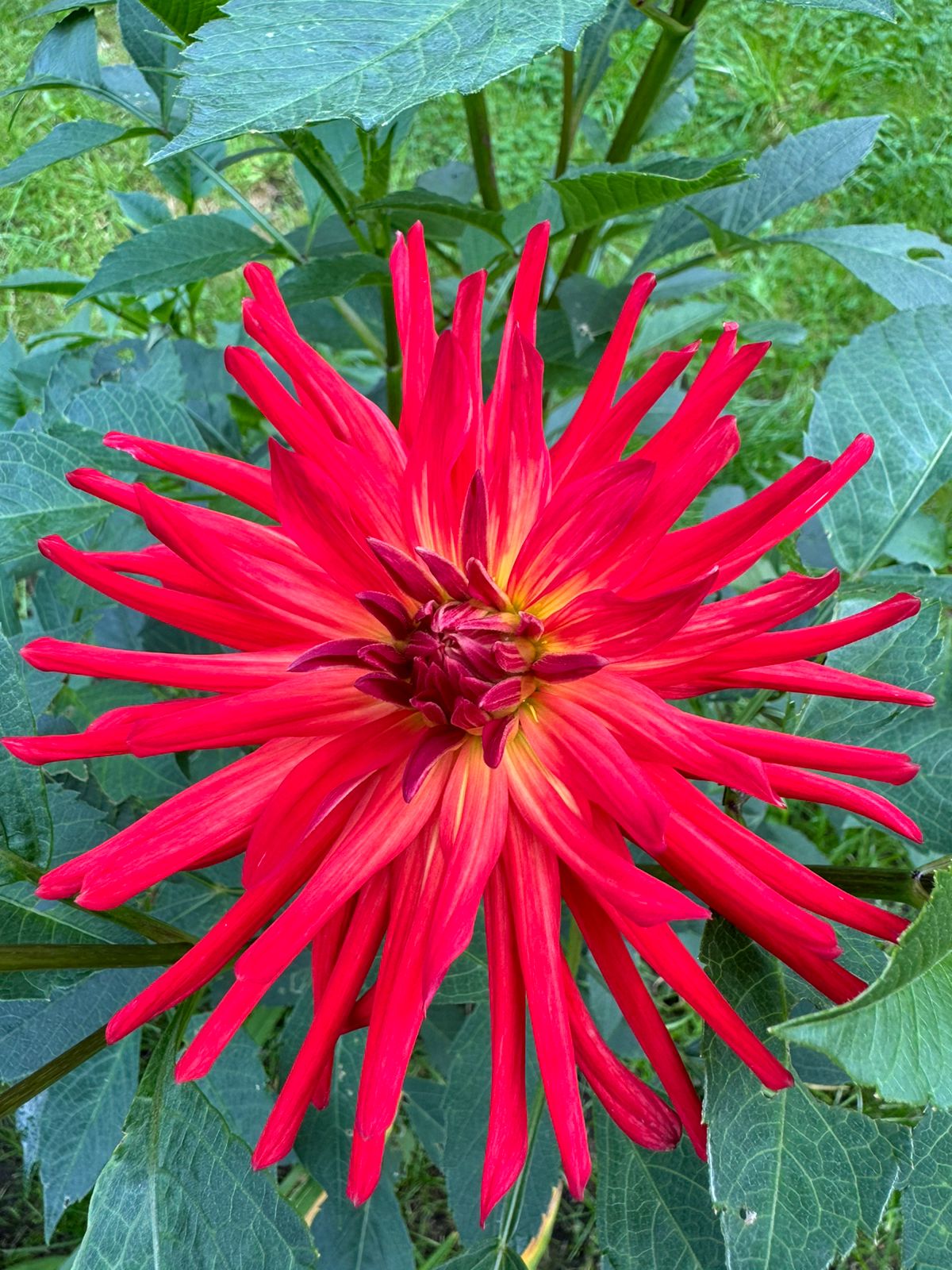 Фото Теремок