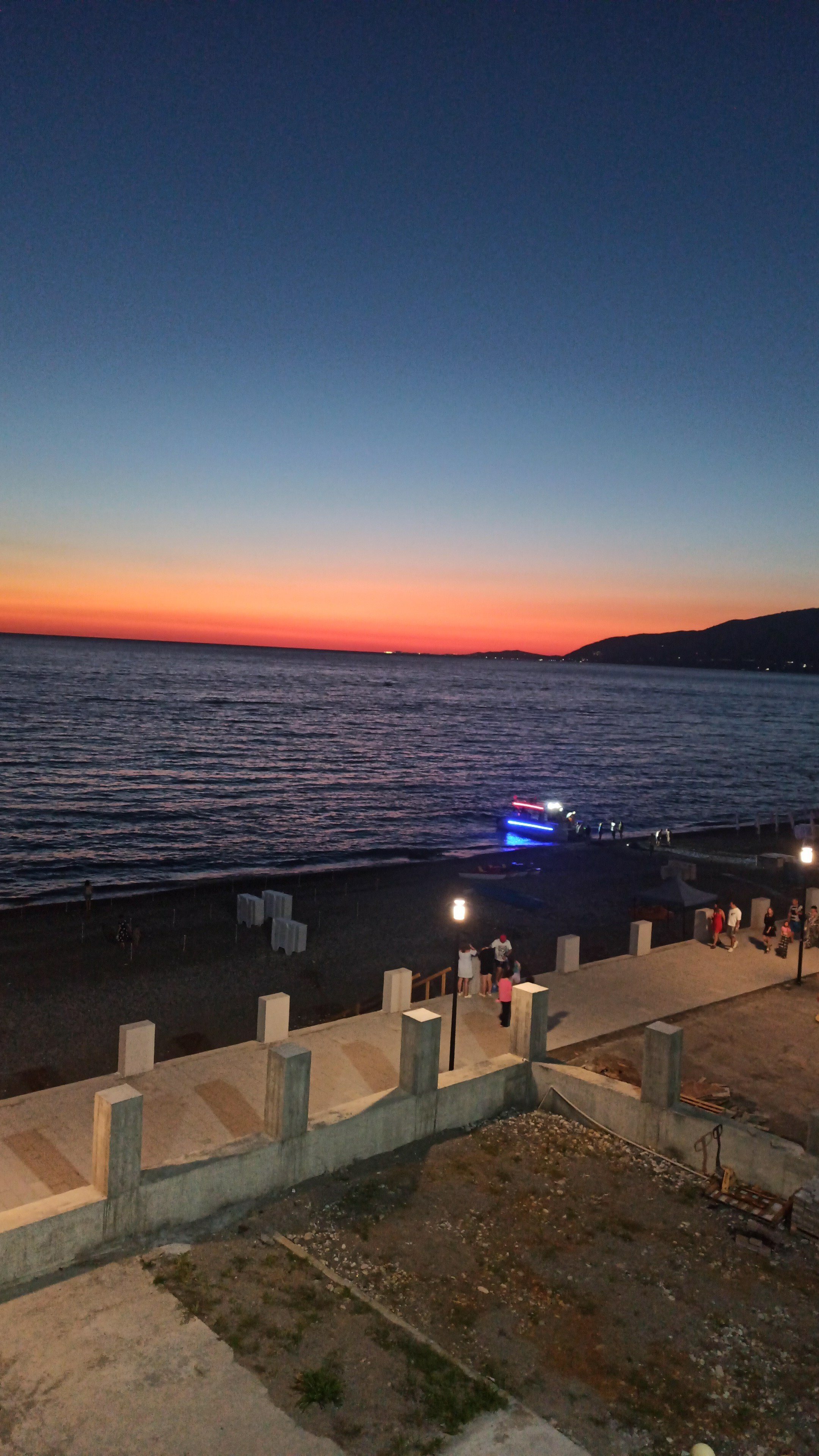 Фото Орхидея