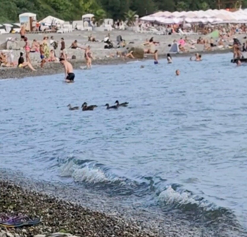 Фото Гостевой Дом на Яблочной