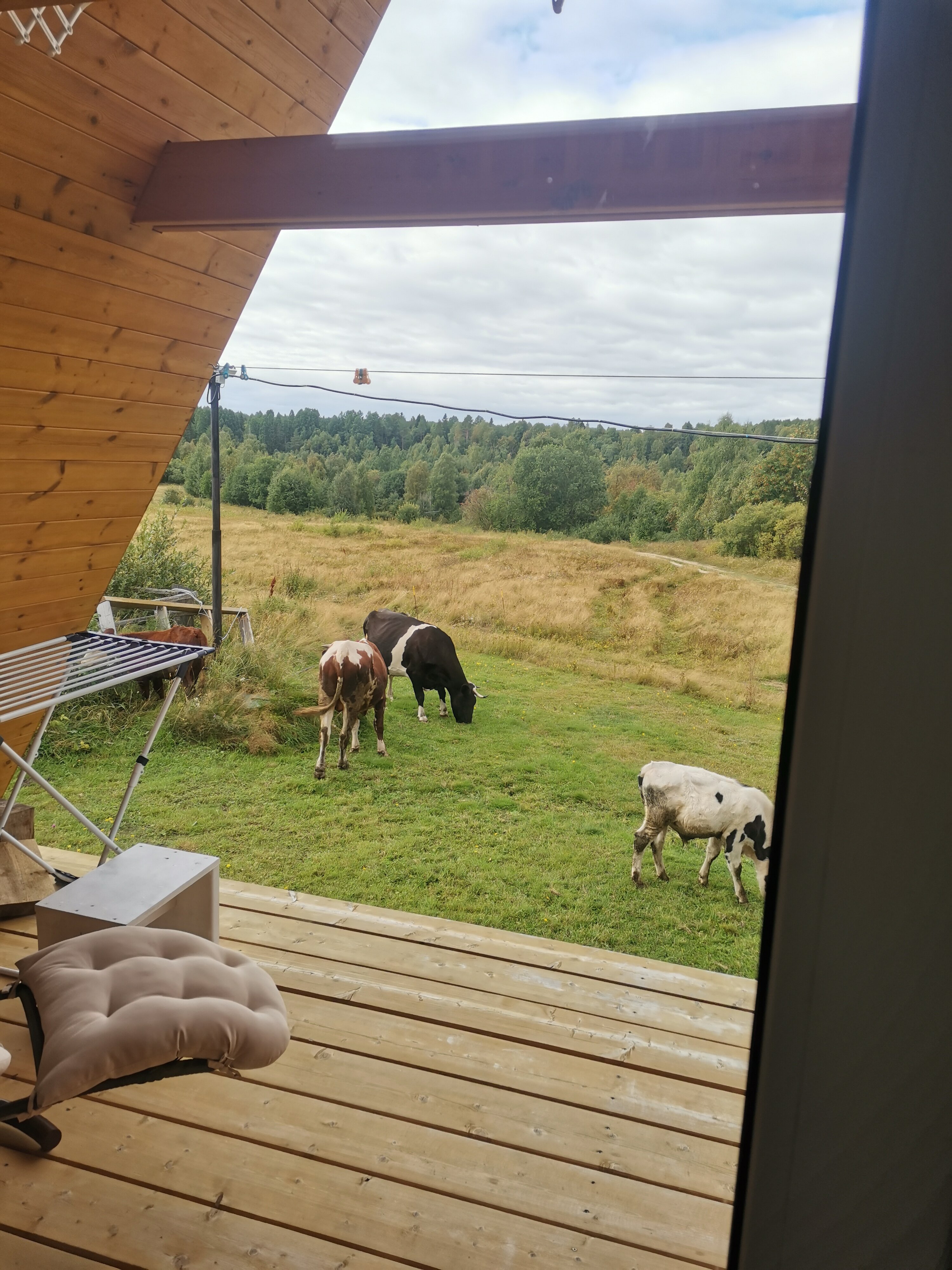 Фото Белый кит