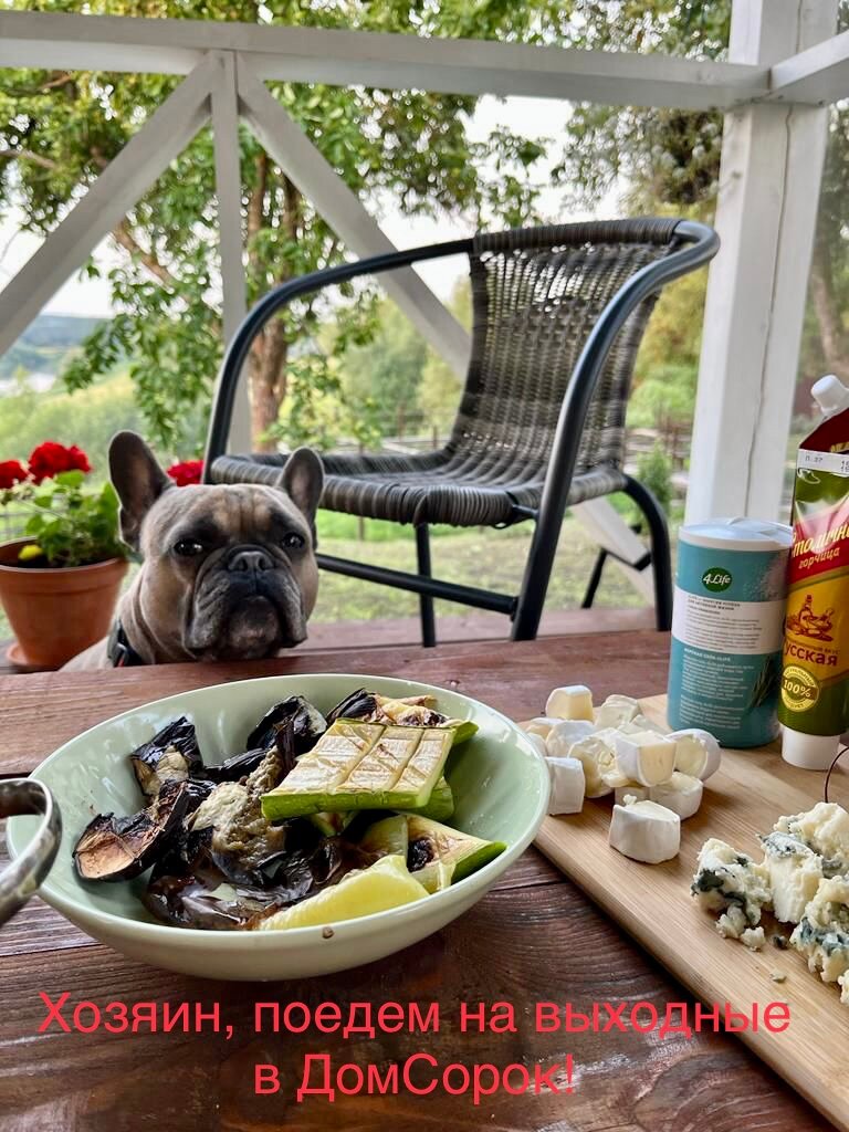 Фото ДомСорок