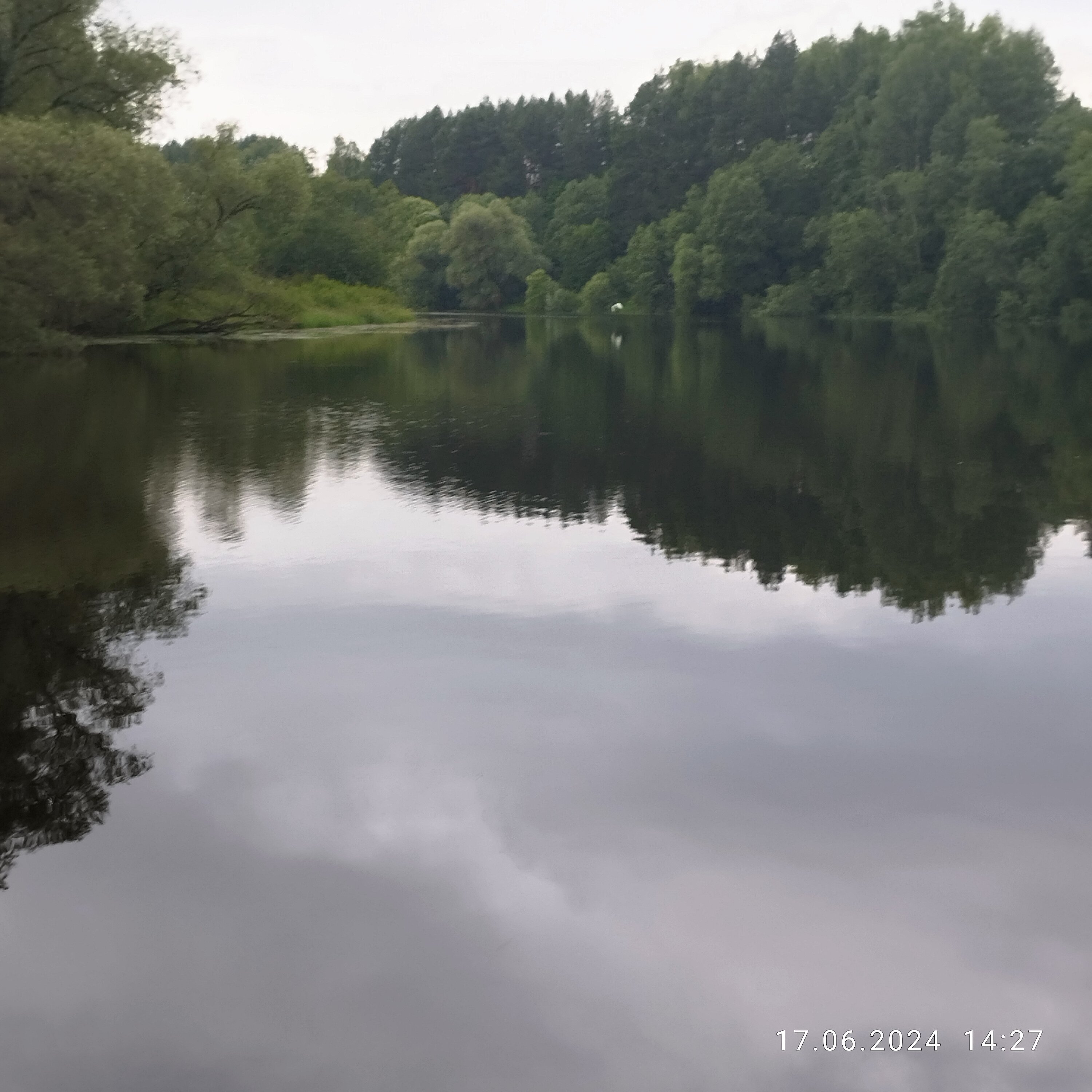 Фото Парк-отель Красновидово
