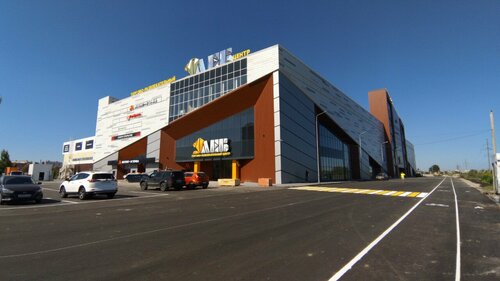 Shopping mall Lev, Penza Oblast, photo