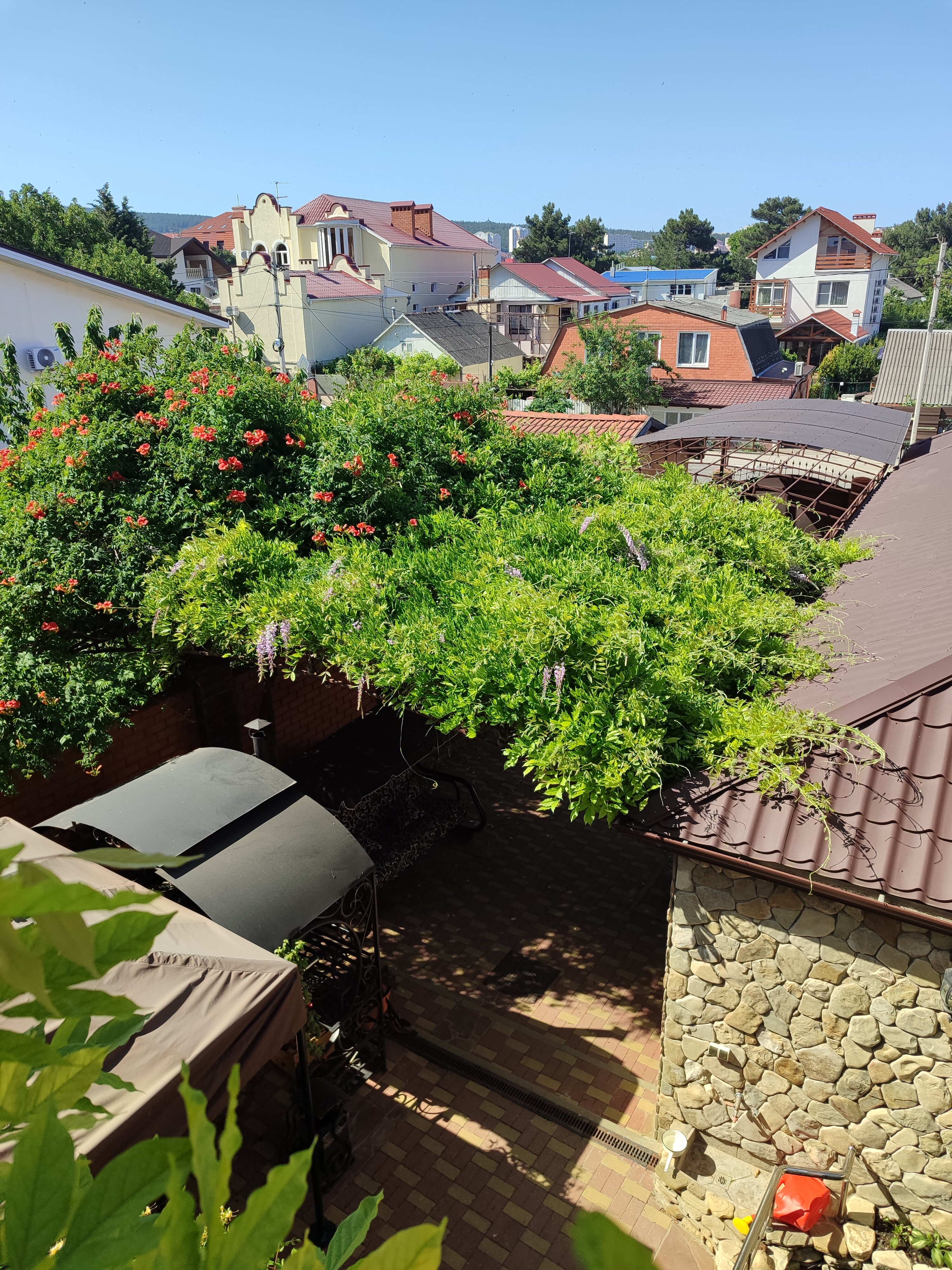 Фото Гостевой дом Ежевика