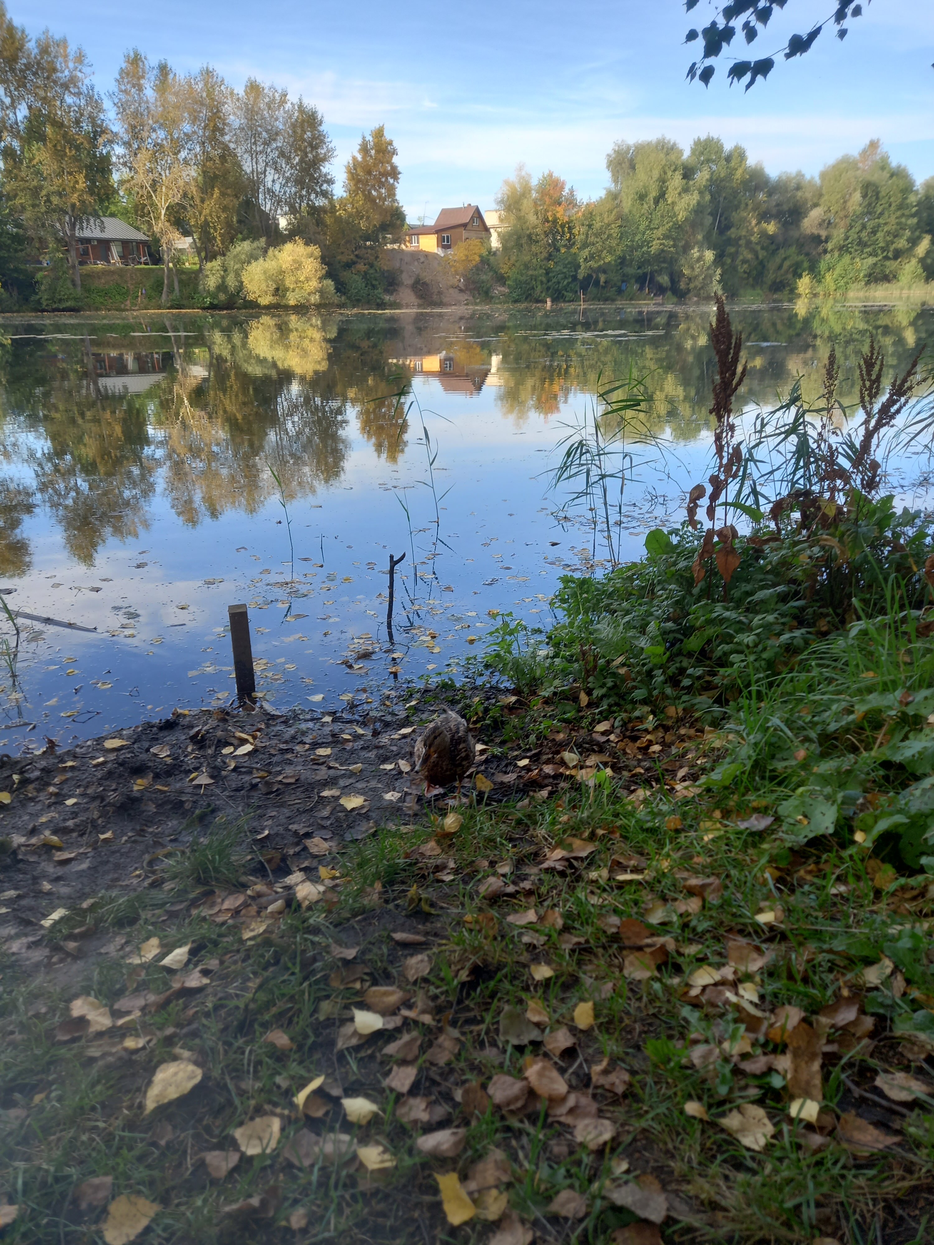 Фото Дилижанс