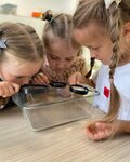 Sun School (Dybenko Street, 8к3) ، مركز الرعاية النهارية، رياض الأطفال