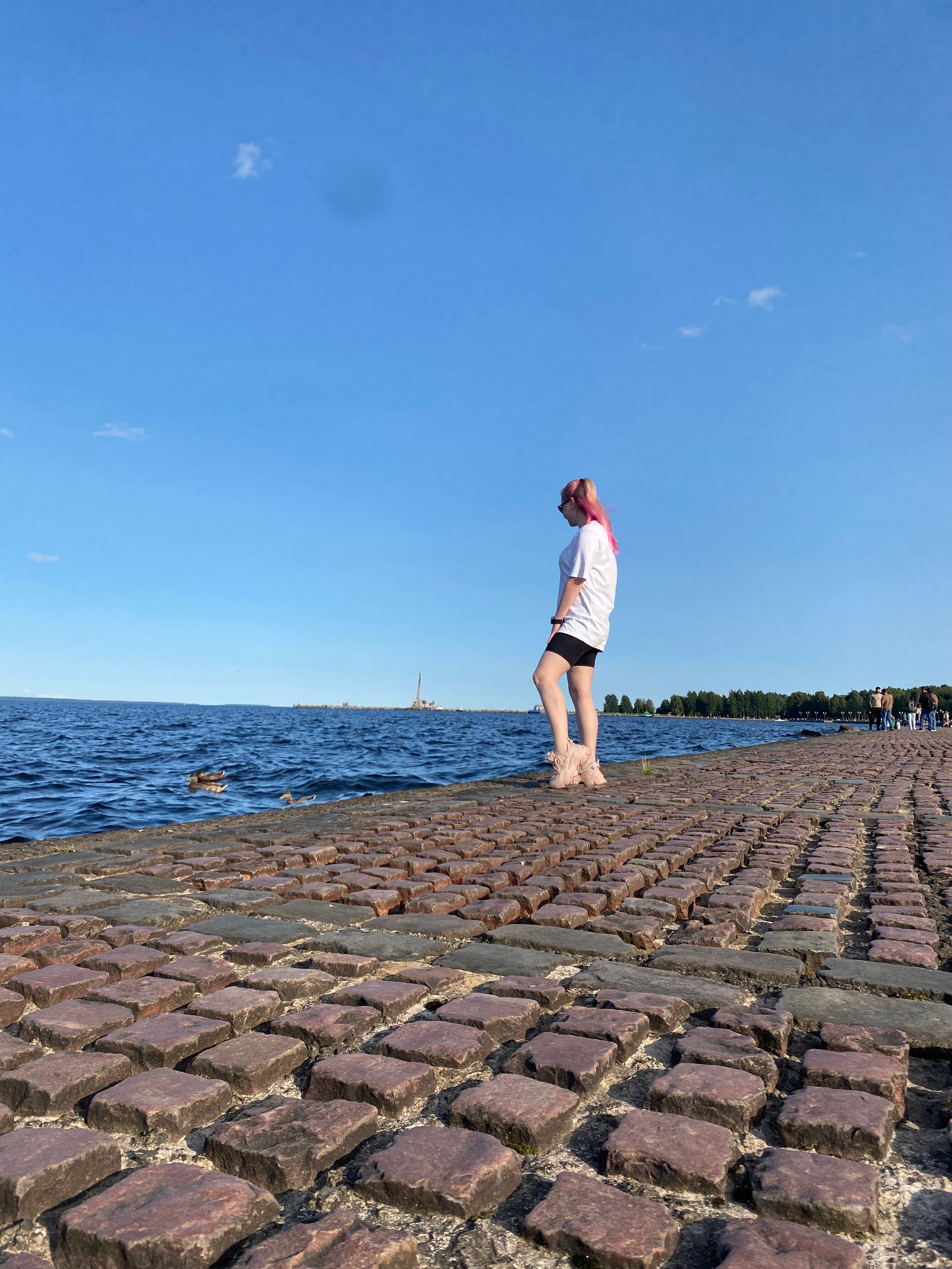 Фото Северная