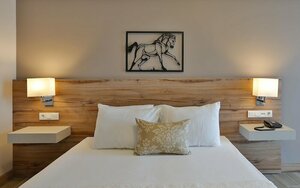 Гостиница Kule Hotel