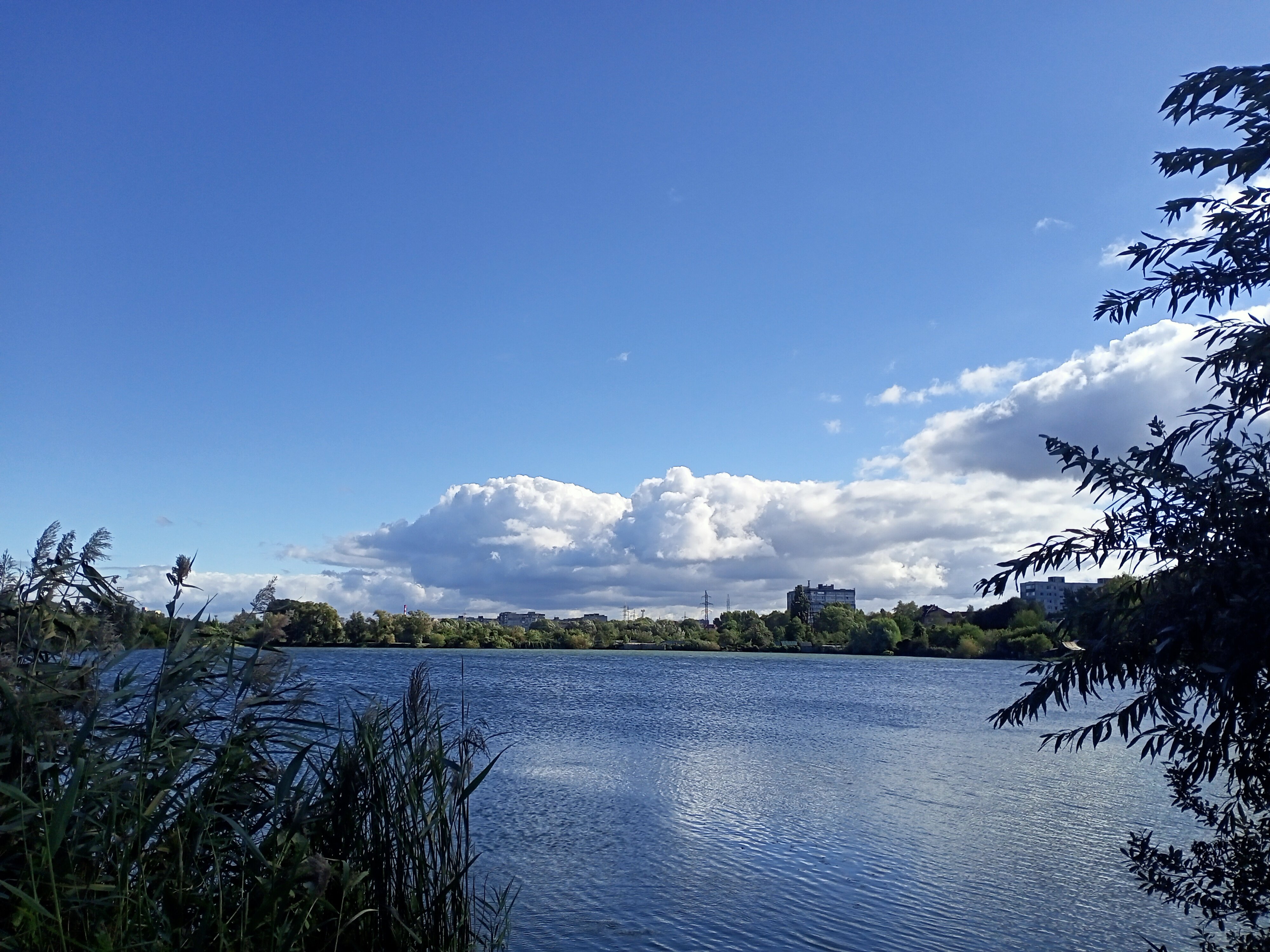 Фото Порт 55
