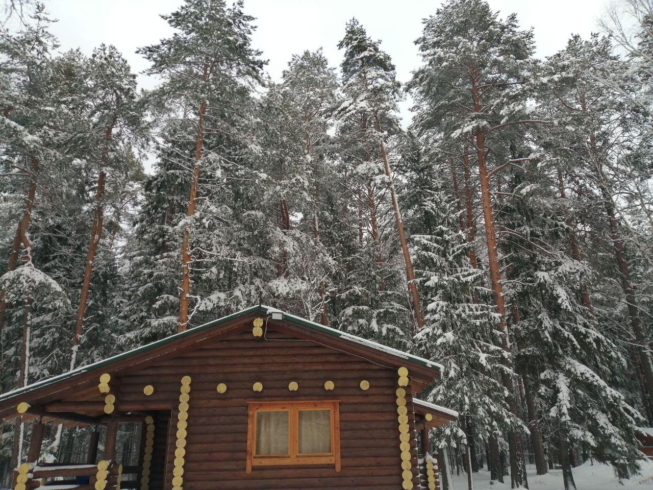 Фото Тихий Лес