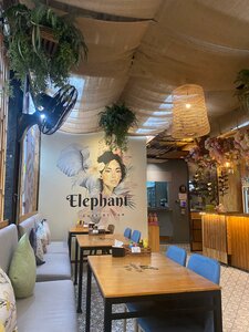 Elephant Cafe' by Tan (Mueang Phuket, Patak Road, 489), cafe