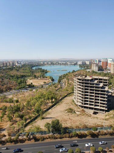 Интернетте итпен жыныстық қатынас