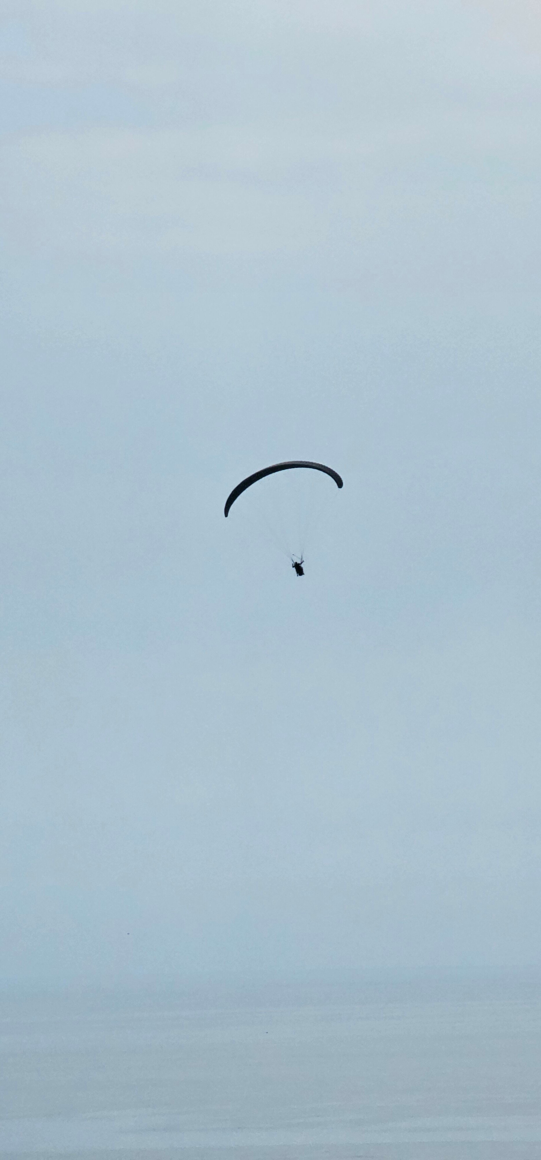 Фото Новая Гагра