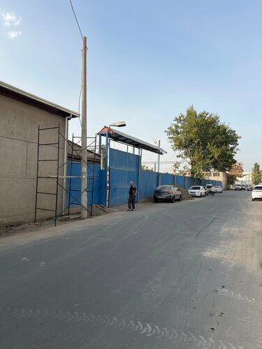 Kabardino-Balkar erkaklarining jinsiyligi